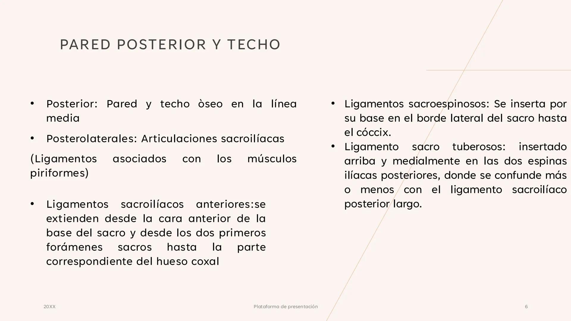 # CAVIDAD PÉLVICA
Adrián Hernández Lemus EXTENSIÓN
Es una cavidad que se extiende:
• Superiormente hacia la caja torácica
• Inferiorment