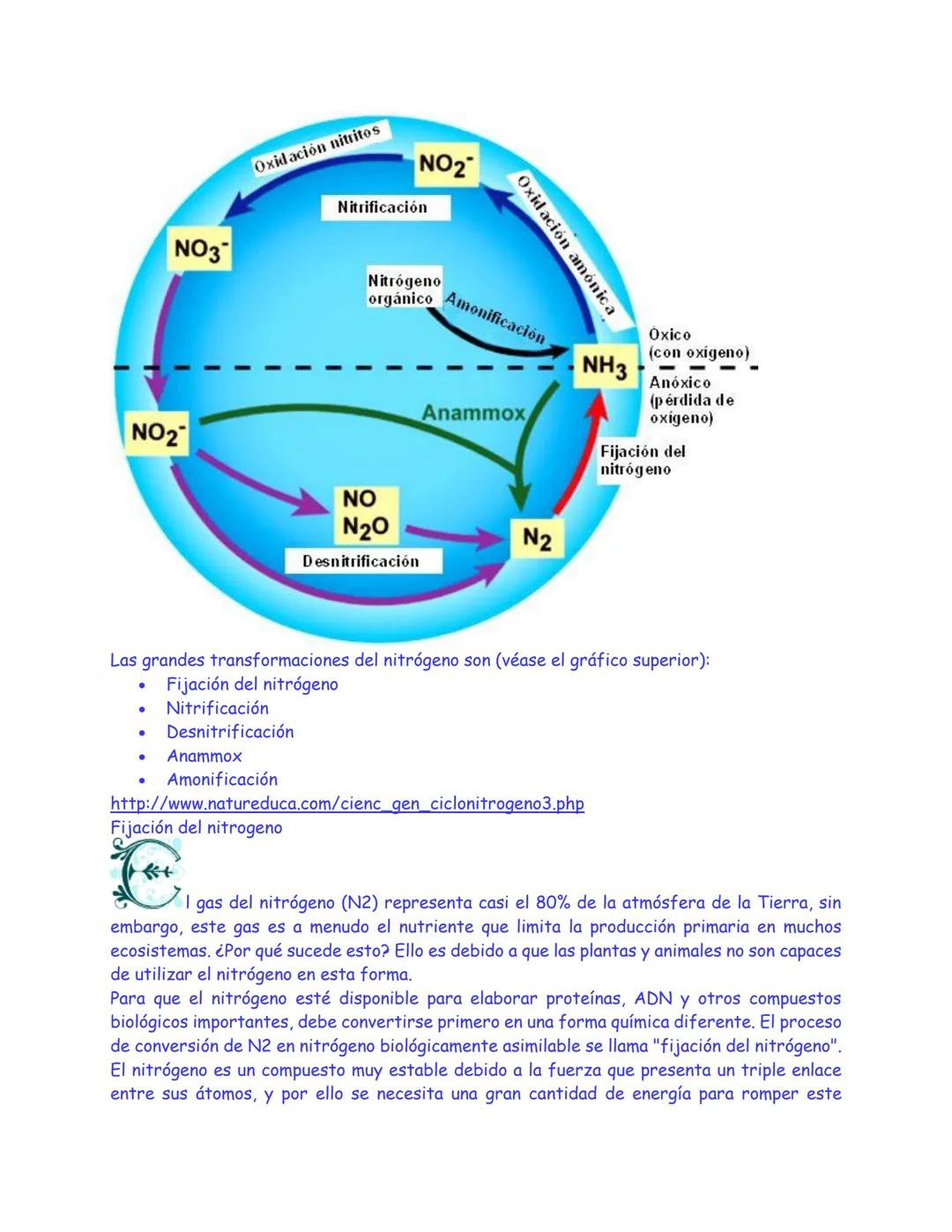 # CICLO DEL NITROGENO
http://www.natureduca.com/cienc_gen_ciclonitrogeno.php
Natureduca. Portal educativo de ciencias naturales y aplicadas