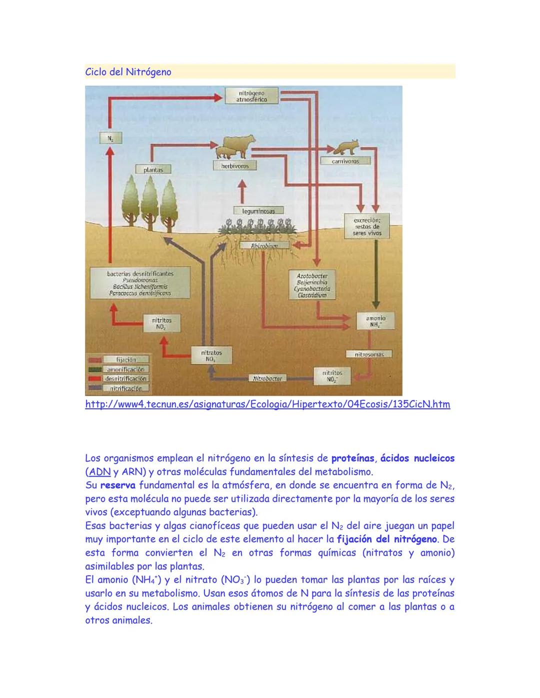 # CICLO DEL NITROGENO
http://www.natureduca.com/cienc_gen_ciclonitrogeno.php
Natureduca. Portal educativo de ciencias naturales y aplicadas