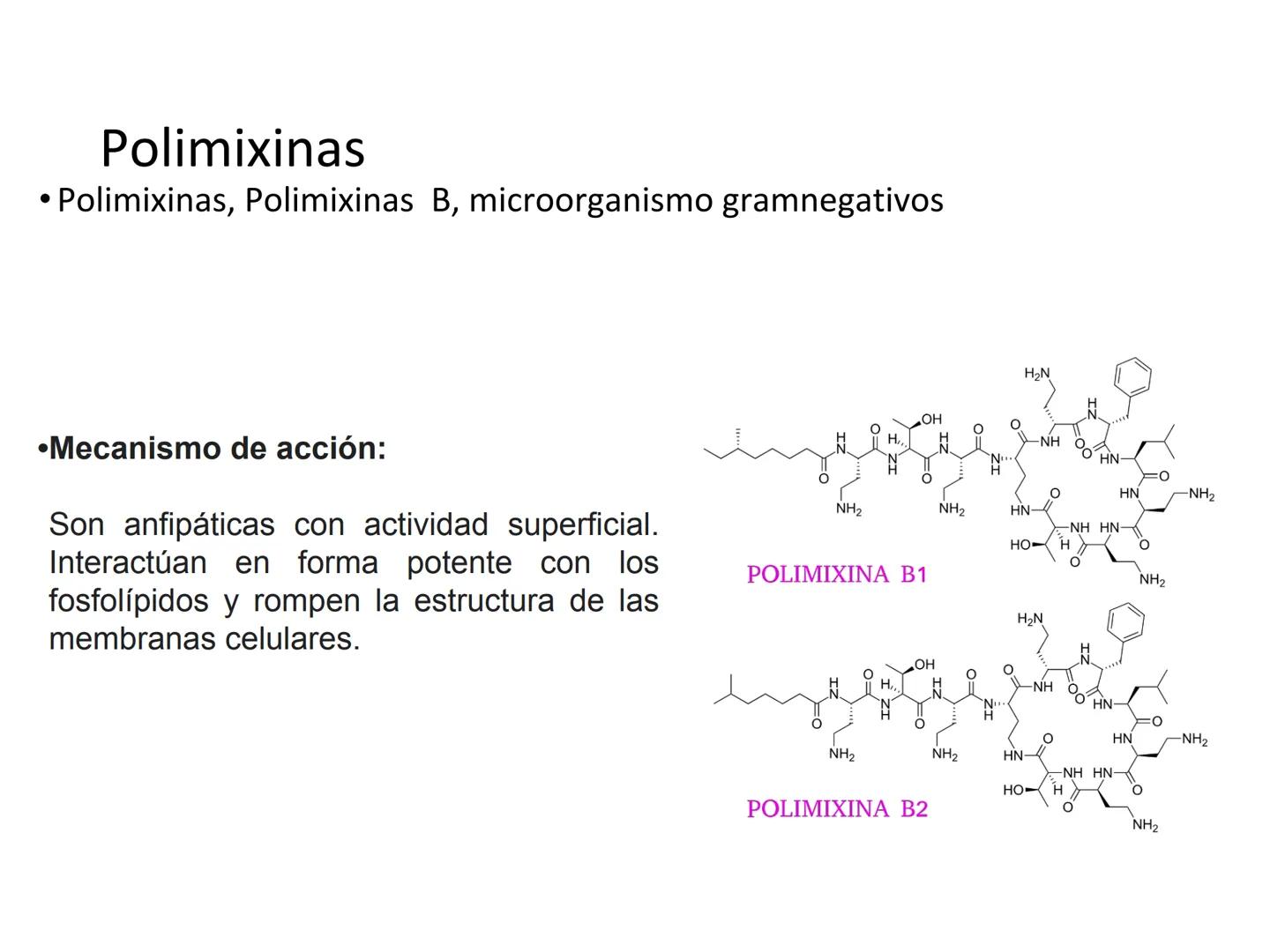 ANTIBIÓTICOS Síntesis de la
pared celular
Ciclosporina
Vancomicina
Bacitracina
Penicilina
Cefalosporina
Monobactams
Carbapenems
Metabolismo