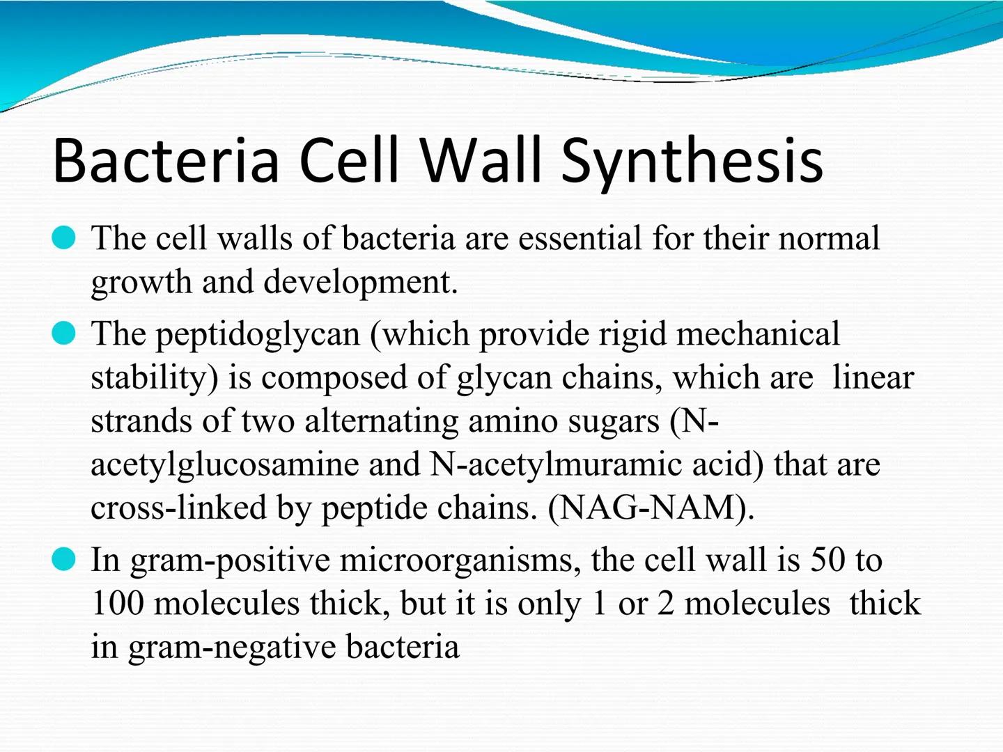 ANTIBIÓTICOS Síntesis de la
pared celular
Ciclosporina
Vancomicina
Bacitracina
Penicilina
Cefalosporina
Monobactams
Carbapenems
Metabolismo