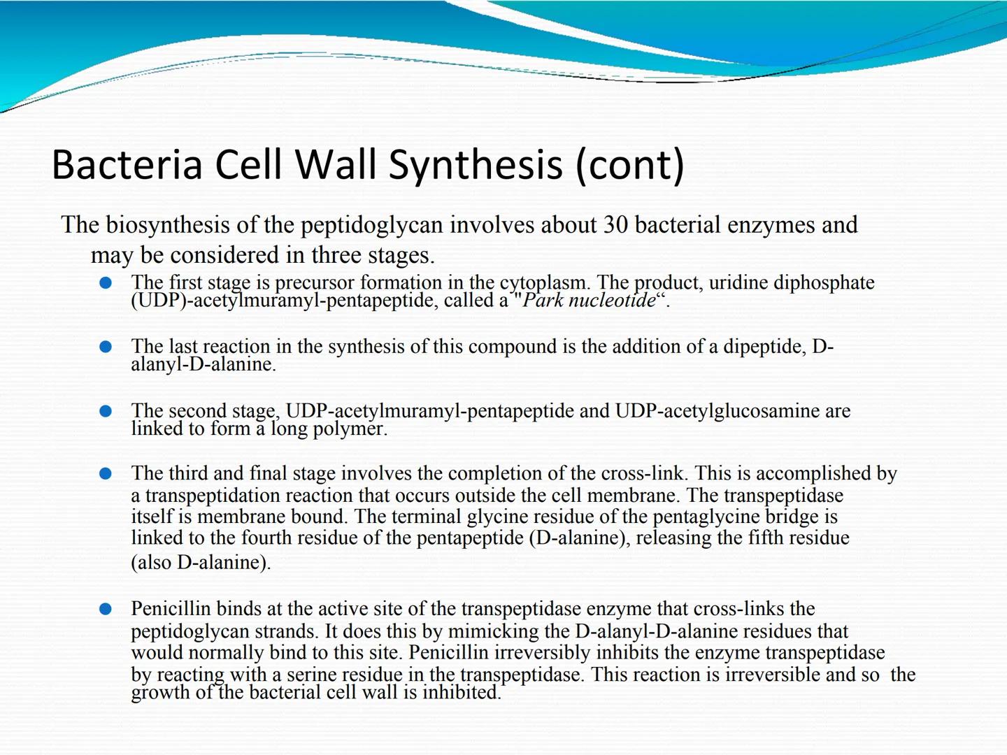 ANTIBIÓTICOS Síntesis de la
pared celular
Ciclosporina
Vancomicina
Bacitracina
Penicilina
Cefalosporina
Monobactams
Carbapenems
Metabolismo