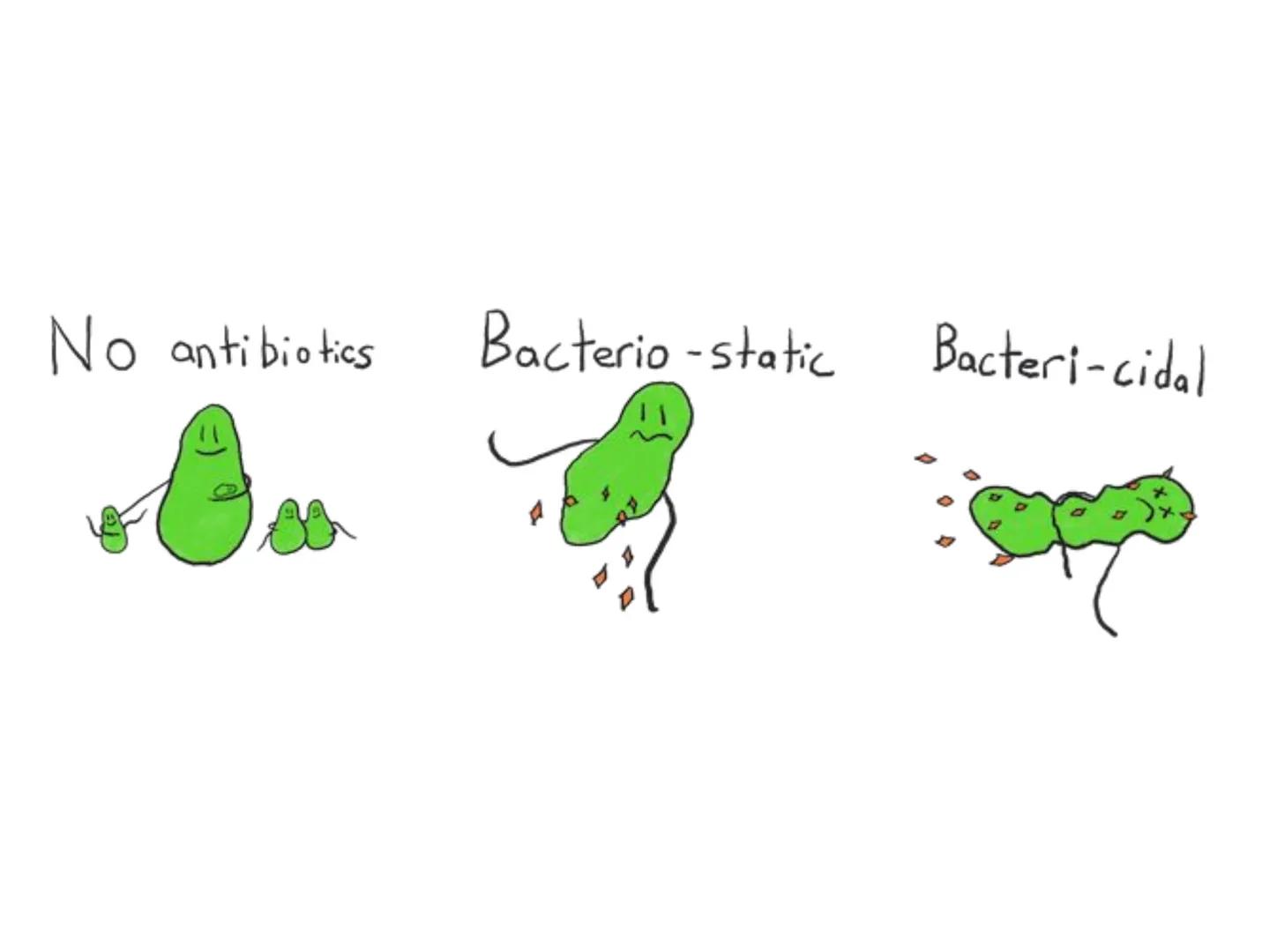 ANTIBIÓTICOS Síntesis de la
pared celular
Ciclosporina
Vancomicina
Bacitracina
Penicilina
Cefalosporina
Monobactams
Carbapenems
Metabolismo