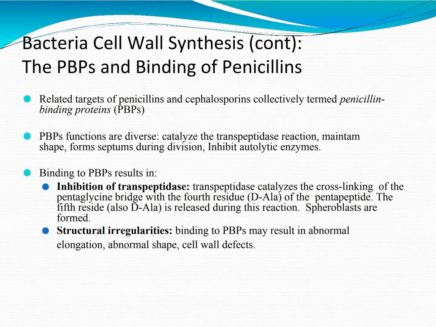 ANTIBIÓTICOS Síntesis de la
pared celular
Ciclosporina
Vancomicina
Bacitracina
Penicilina
Cefalosporina
Monobactams
Carbapenems
Metabolismo