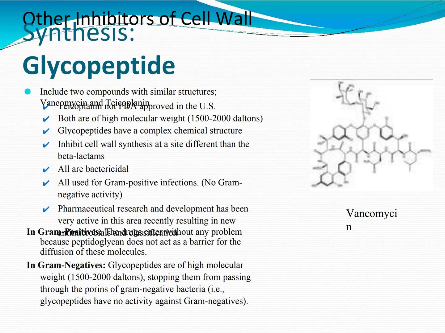ANTIBIÓTICOS Síntesis de la
pared celular
Ciclosporina
Vancomicina
Bacitracina
Penicilina
Cefalosporina
Monobactams
Carbapenems
Metabolismo