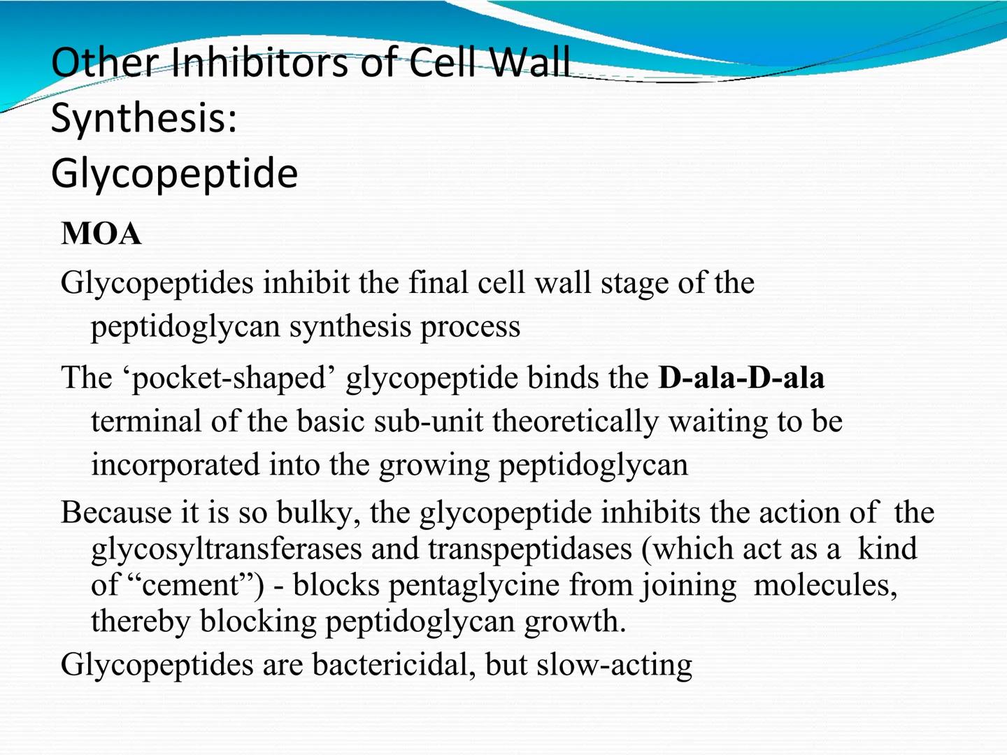 ANTIBIÓTICOS Síntesis de la
pared celular
Ciclosporina
Vancomicina
Bacitracina
Penicilina
Cefalosporina
Monobactams
Carbapenems
Metabolismo