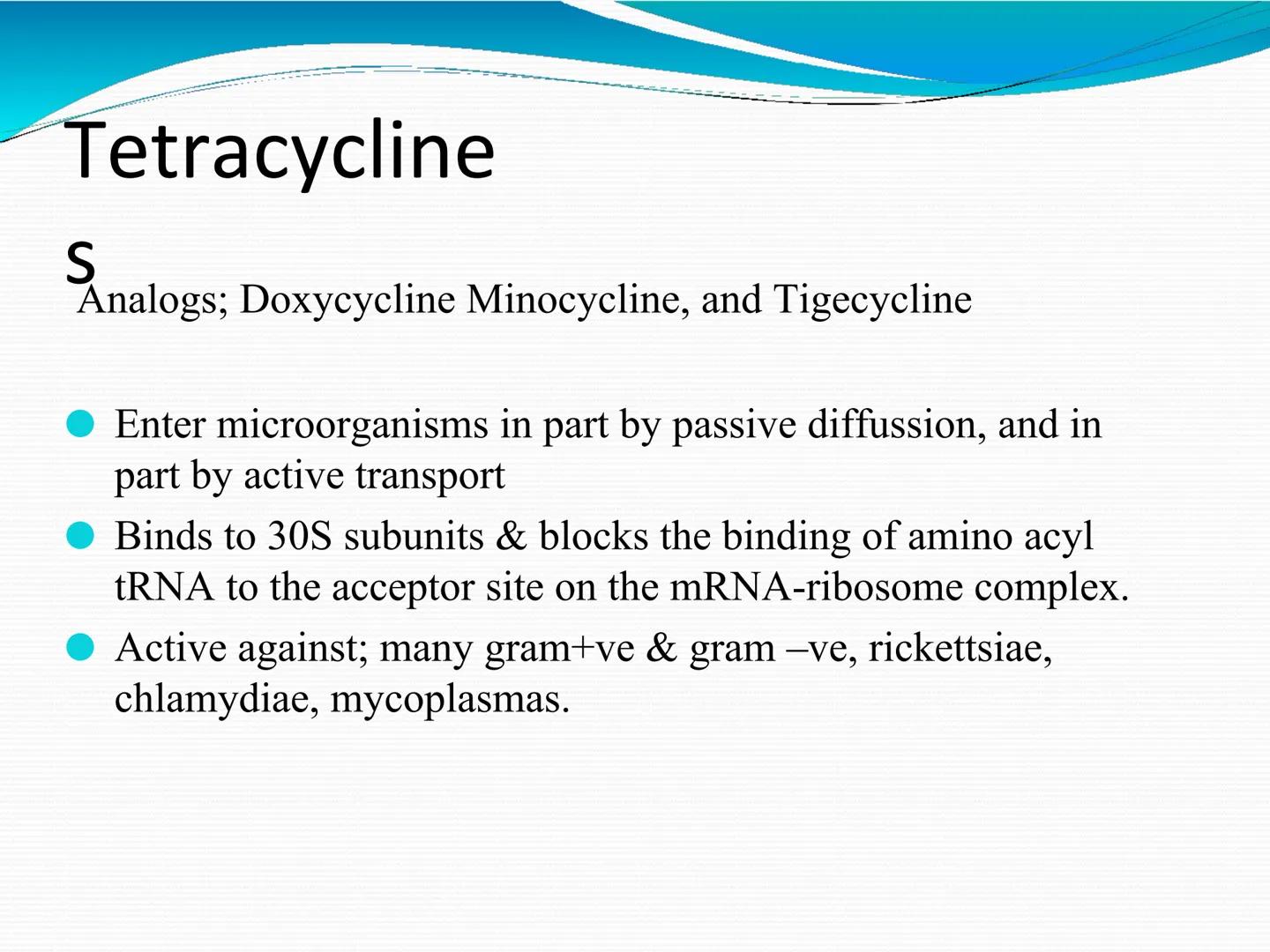 ANTIBIÓTICOS Síntesis de la
pared celular
Ciclosporina
Vancomicina
Bacitracina
Penicilina
Cefalosporina
Monobactams
Carbapenems
Metabolismo