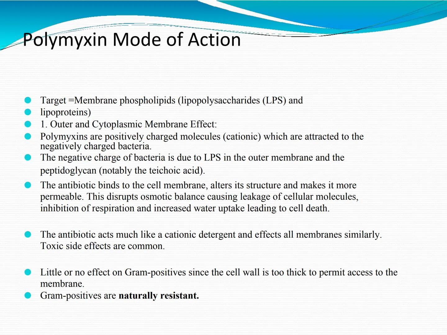 ANTIBIÓTICOS Síntesis de la
pared celular
Ciclosporina
Vancomicina
Bacitracina
Penicilina
Cefalosporina
Monobactams
Carbapenems
Metabolismo