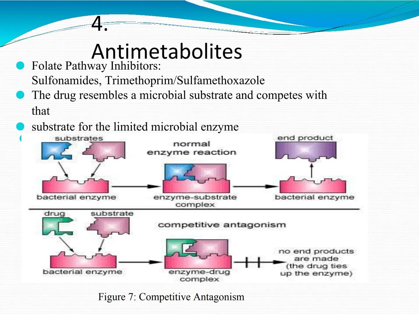 ANTIBIÓTICOS Síntesis de la
pared celular
Ciclosporina
Vancomicina
Bacitracina
Penicilina
Cefalosporina
Monobactams
Carbapenems
Metabolismo