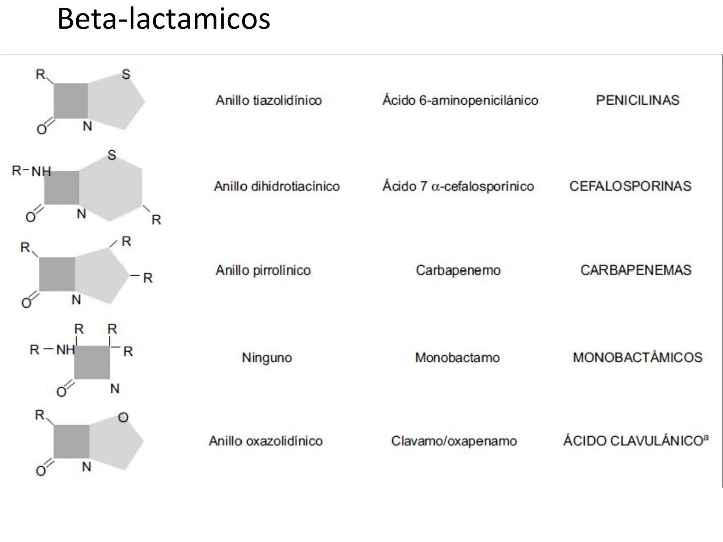 ANTIBIÓTICOS Síntesis de la
pared celular
Ciclosporina
Vancomicina
Bacitracina
Penicilina
Cefalosporina
Monobactams
Carbapenems
Metabolismo