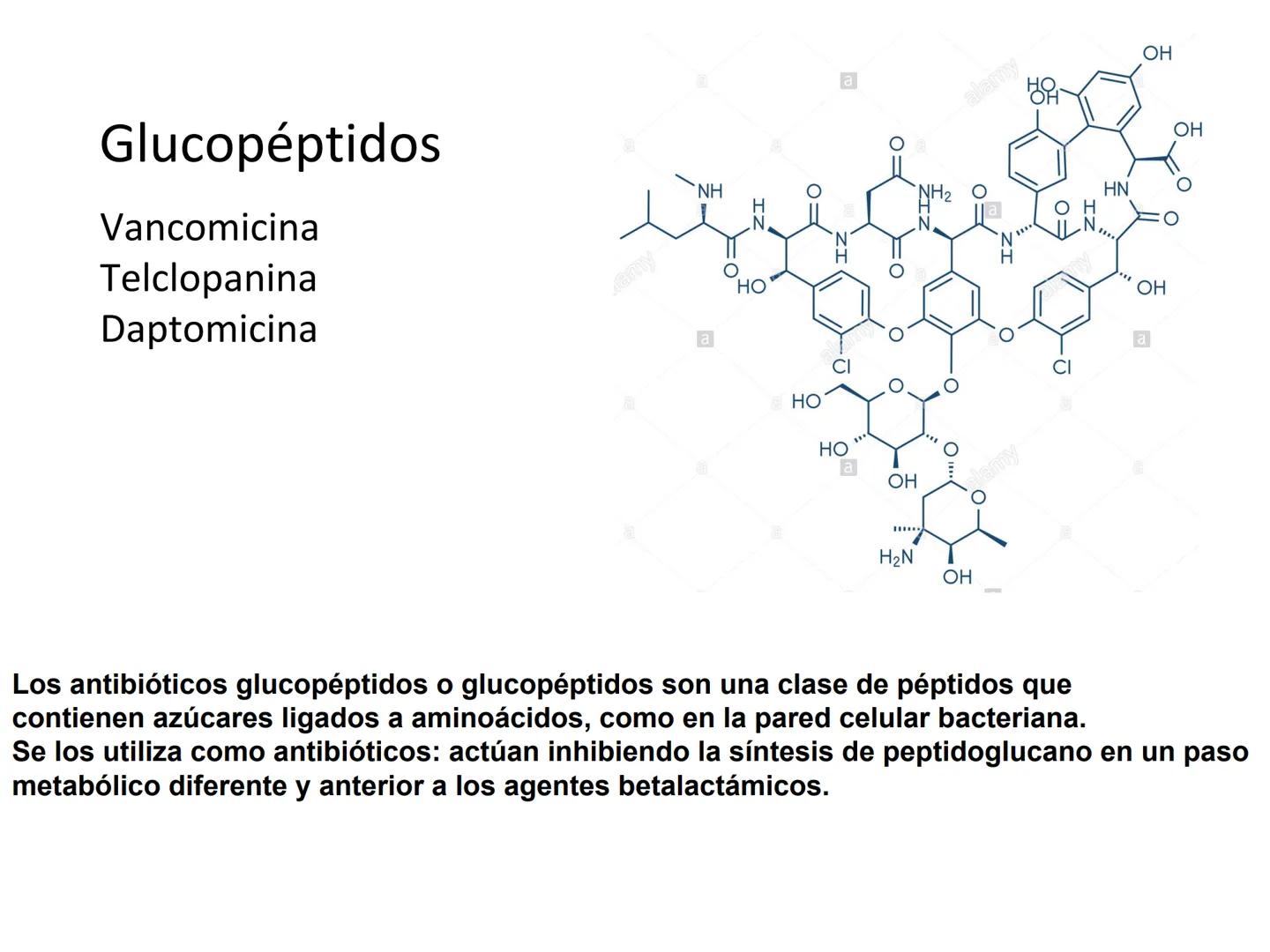 ANTIBIÓTICOS Síntesis de la
pared celular
Ciclosporina
Vancomicina
Bacitracina
Penicilina
Cefalosporina
Monobactams
Carbapenems
Metabolismo
