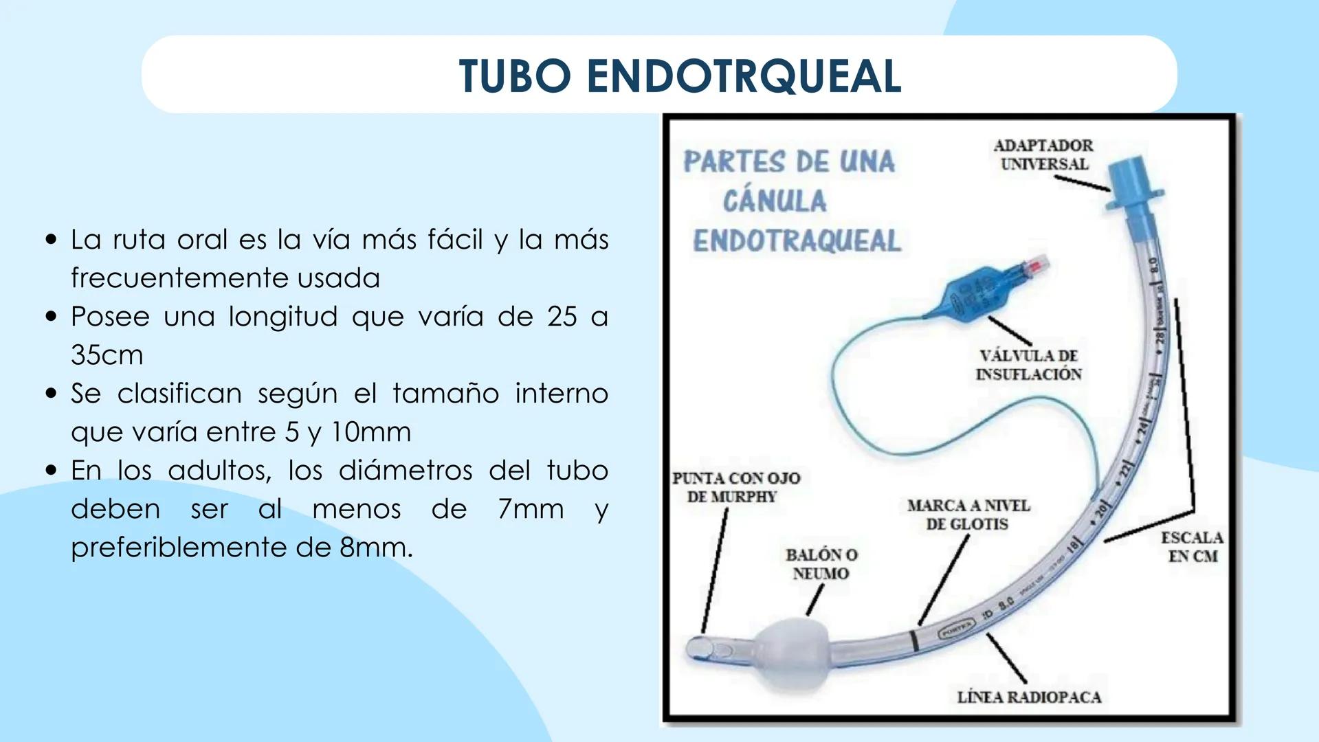 ♡
COMMUNITATIS MINISTERIUA
PMS
UNIVERSIDAD POLITECNICA
NERVA
UNIVERSIDAD POLITÉCNICA MINERVA
FUNDAMENTOS DE ENFERMERÍA I
OXIGENOTERAPIA,
D