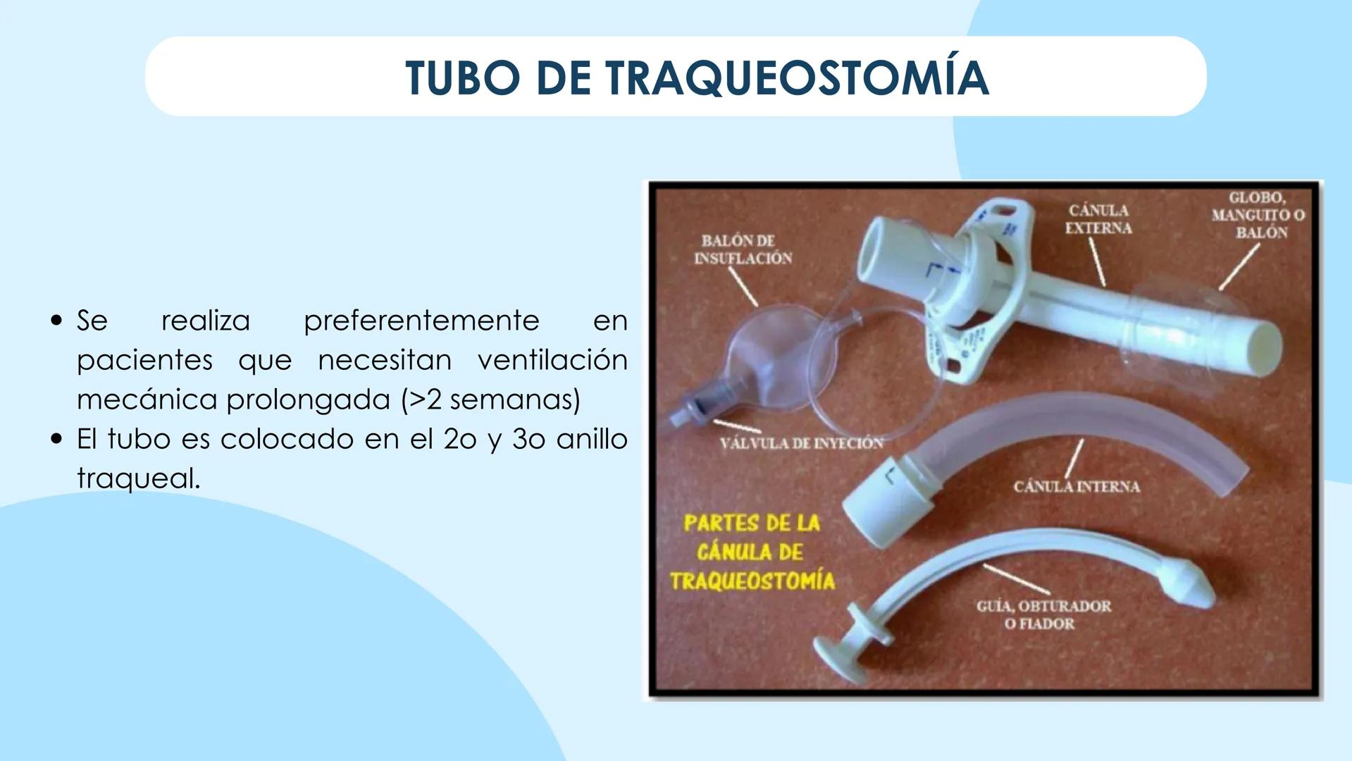 ♡
COMMUNITATIS MINISTERIUA
PMS
UNIVERSIDAD POLITECNICA
NERVA
UNIVERSIDAD POLITÉCNICA MINERVA
FUNDAMENTOS DE ENFERMERÍA I
OXIGENOTERAPIA,
D