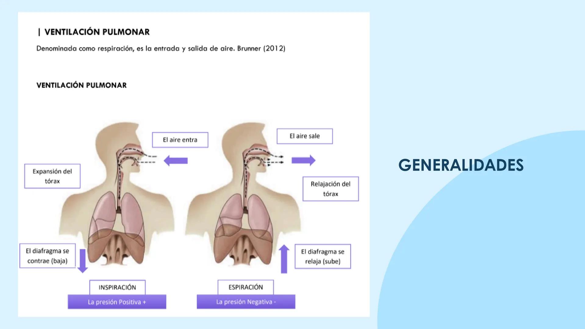 ♡
COMMUNITATIS MINISTERIUA
PMS
UNIVERSIDAD POLITECNICA
NERVA
UNIVERSIDAD POLITÉCNICA MINERVA
FUNDAMENTOS DE ENFERMERÍA I
OXIGENOTERAPIA,
D