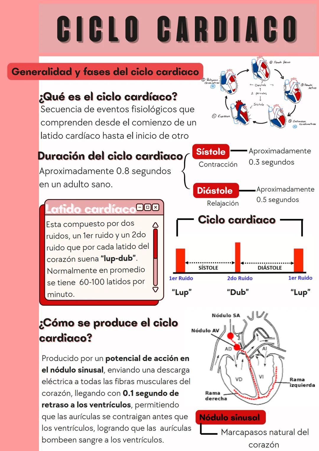 # CICLO CARDIACO
Generalidad y fases del ciclo cardiaco
¿Qué es el ciclo cardíaco?
Secuencia de eventos fisiológicos que
comprenden desde