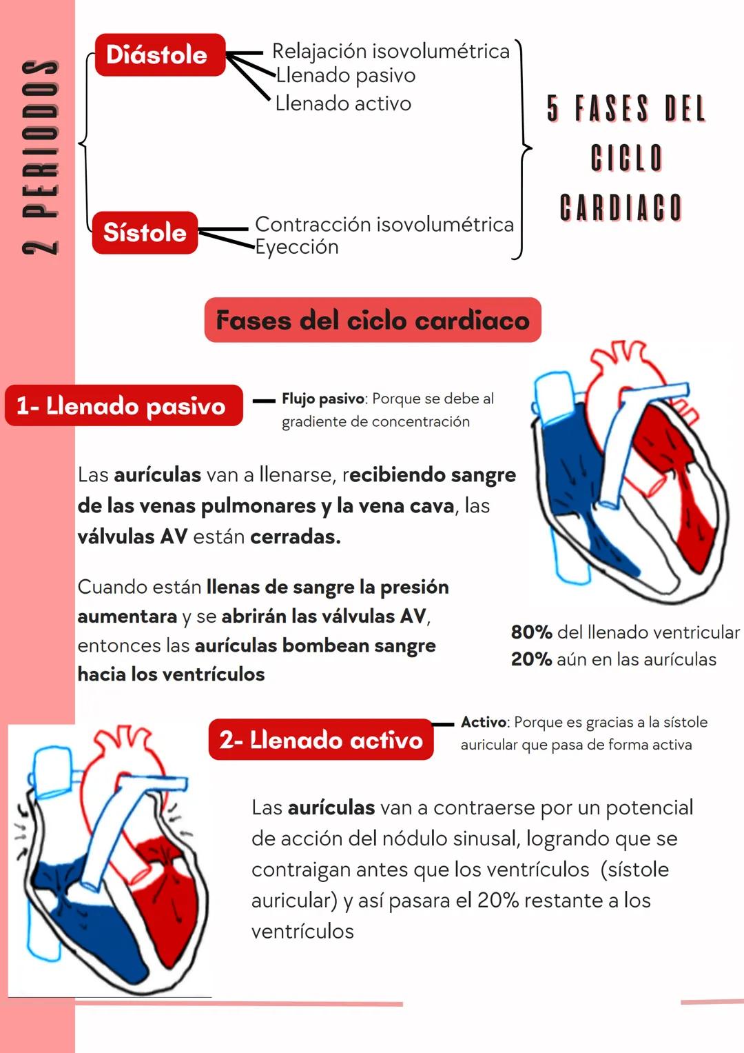 # CICLO CARDIACO
Generalidad y fases del ciclo cardiaco
¿Qué es el ciclo cardíaco?
Secuencia de eventos fisiológicos que
comprenden desde