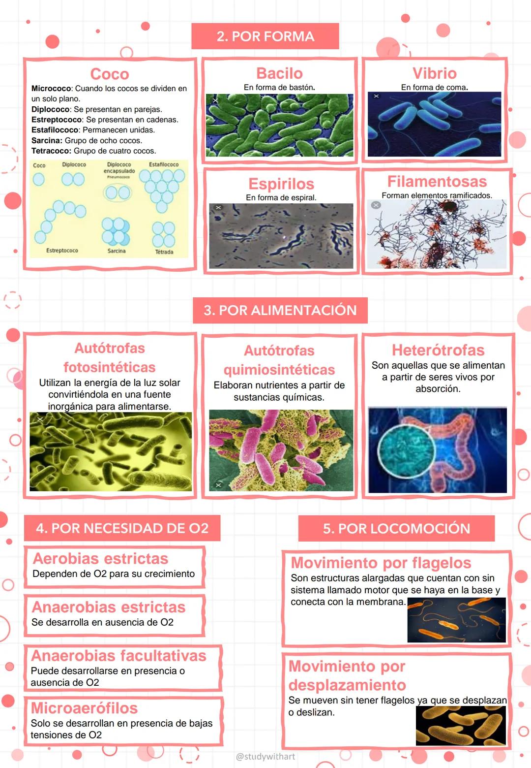 Grupo 10M2. Equipo 6. Fecha: 10/sep/2024
# Historia y clasificación de las
bacterias.
## ¿QUÉ SON LAS BACTERIAS?
Las bacterias son organi