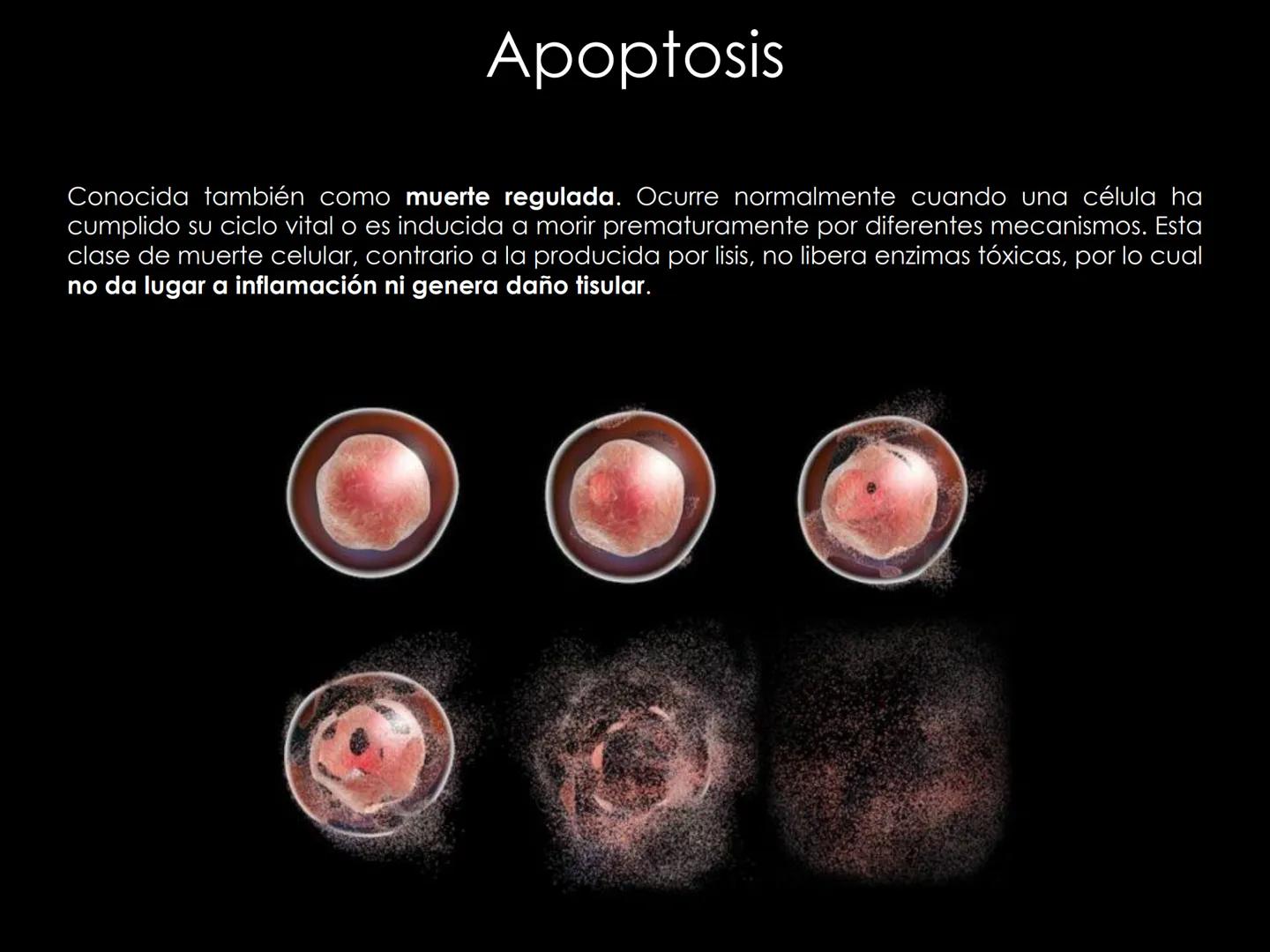 # INMUNOLOGÍA # Inmunidad
La palabra inmunidad significa protección contra la enfermedad y, más en concreto, contra una enfermedad infeccio