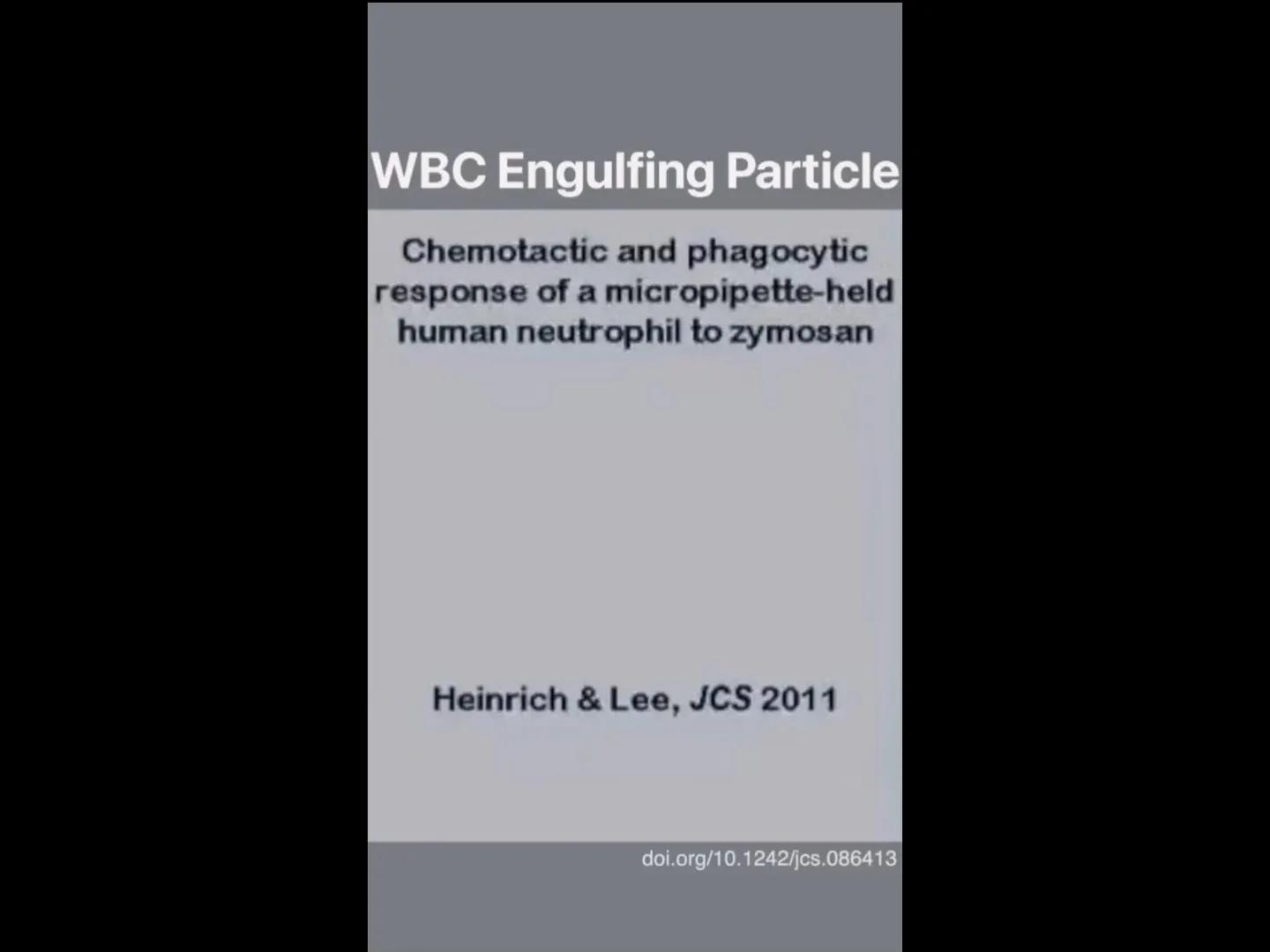 # INMUNOLOGÍA # Inmunidad
La palabra inmunidad significa protección contra la enfermedad y, más en concreto, contra una enfermedad infeccio