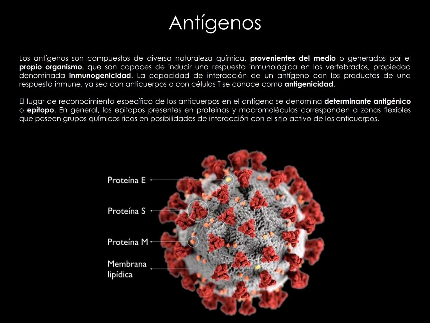 # INMUNOLOGÍA # Inmunidad
La palabra inmunidad significa protección contra la enfermedad y, más en concreto, contra una enfermedad infeccio