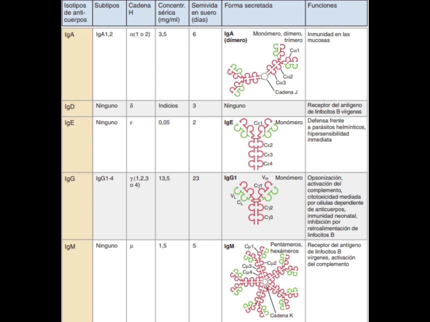 # INMUNOLOGÍA # Inmunidad
La palabra inmunidad significa protección contra la enfermedad y, más en concreto, contra una enfermedad infeccio