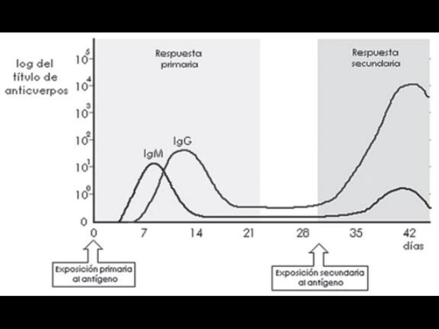 # INMUNOLOGÍA # Inmunidad
La palabra inmunidad significa protección contra la enfermedad y, más en concreto, contra una enfermedad infeccio