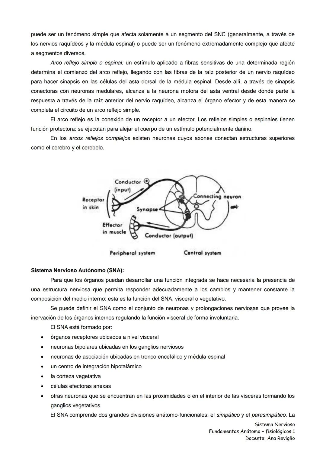 Ana Reviglio (2016). Sistema Nervioso Fundamentos Anátomo-fisiológicos.
Tomado de Internet:
https://www.google.com.mx/#q=Sistema+Nervioso+Fu