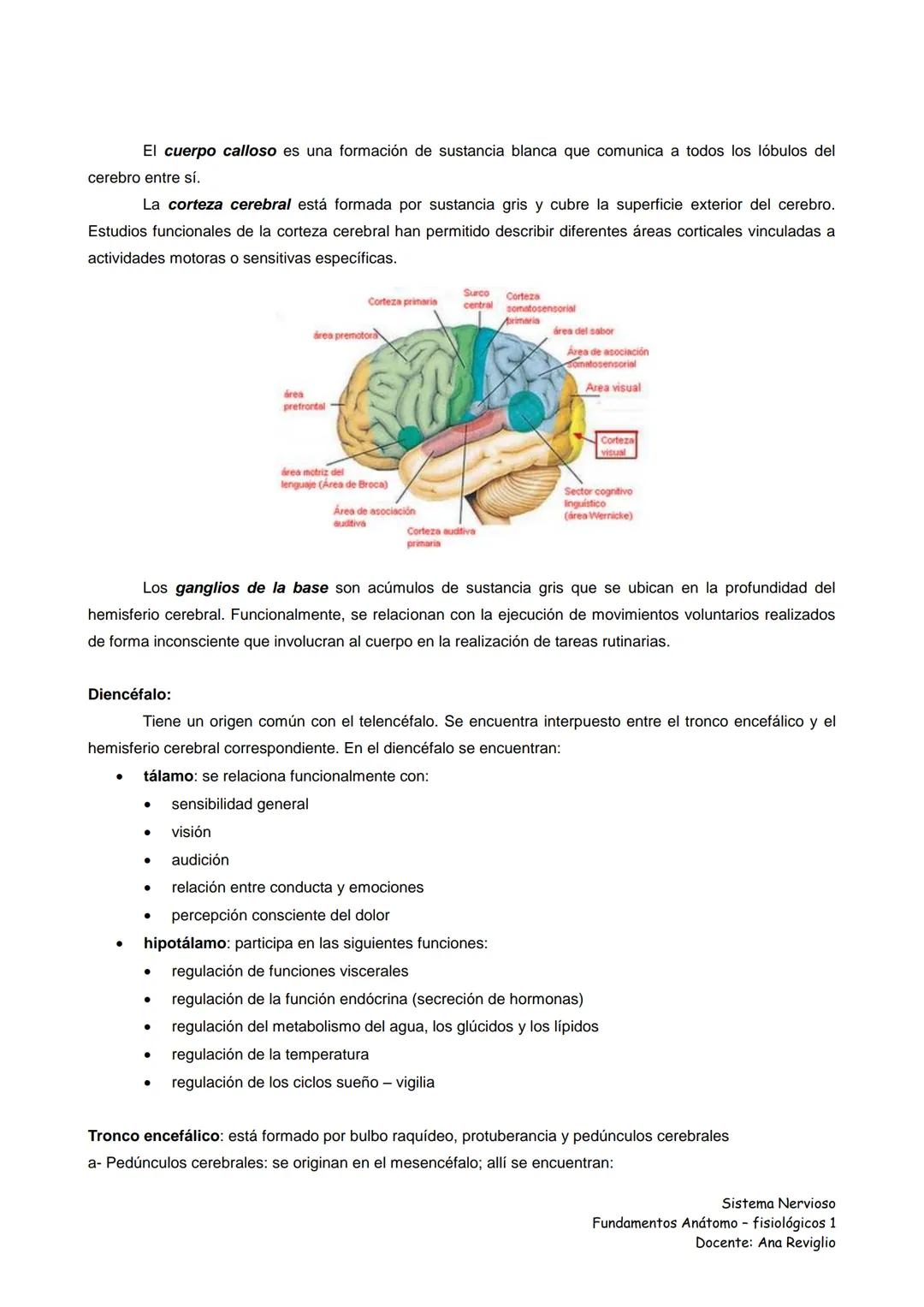 Ana Reviglio (2016). Sistema Nervioso Fundamentos Anátomo-fisiológicos.
Tomado de Internet:
https://www.google.com.mx/#q=Sistema+Nervioso+Fu