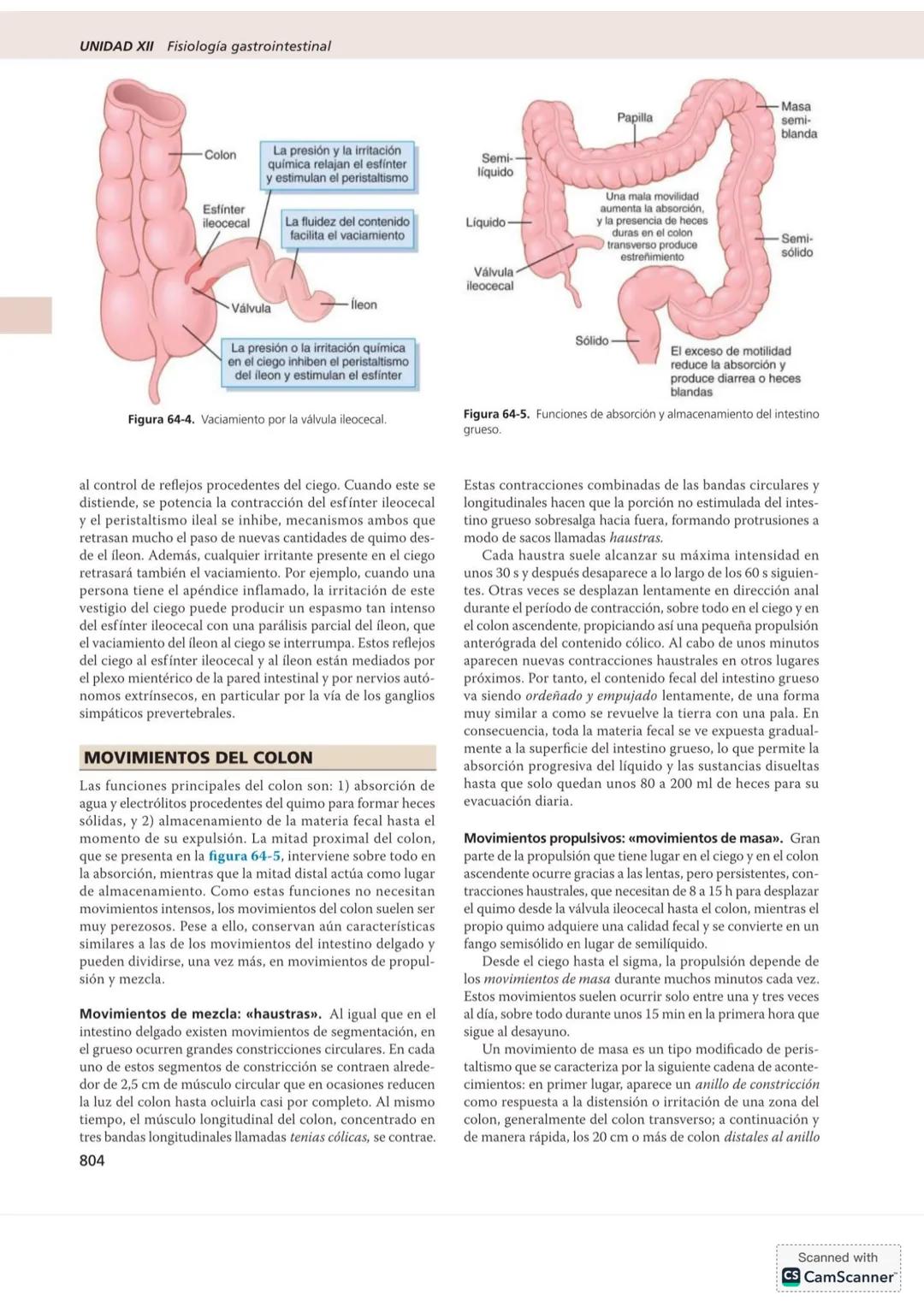 # CAPÍTULO 64
# Propulsión y mezcla de los alimentos
en el tubo digestivo
UNIDAD XII
El tiempo de permanencia de los alimentos en cada un