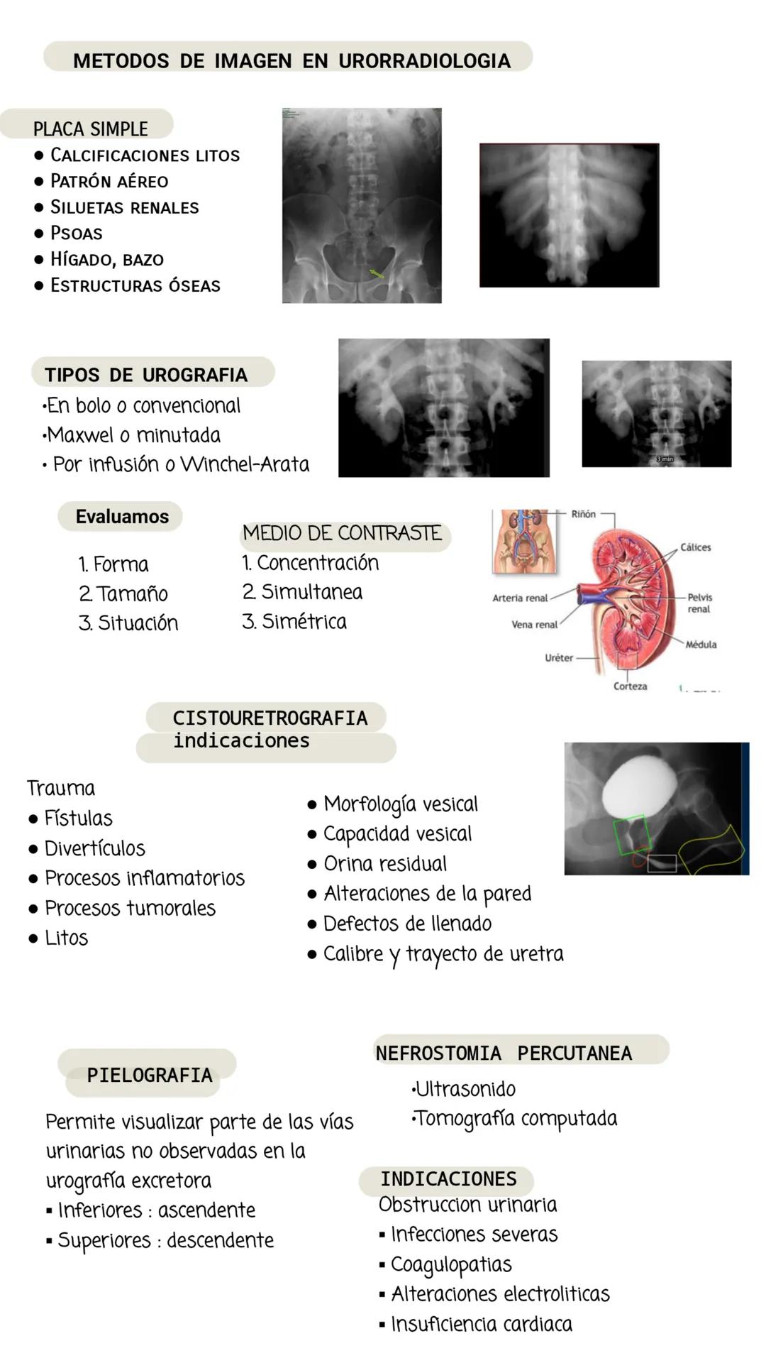 Tomografía
Computada
23RF
MR B15 *24/10/1978, F, 30Y
9/09/2009
10:13:18
4 IMA 13/8
MR B15 *24/10/1978, F. 2
9/09/2009
10:13:18
4 IMA 14/8
SP