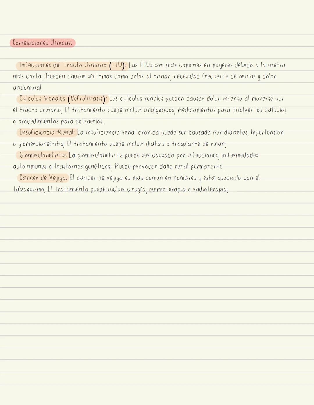 --- OCR Start ---
GENERALIDADES Sistema urinario
1. Riñón: Órgano principal del sistema urinario, Formado por:
Corteza: Contiene los glomeru