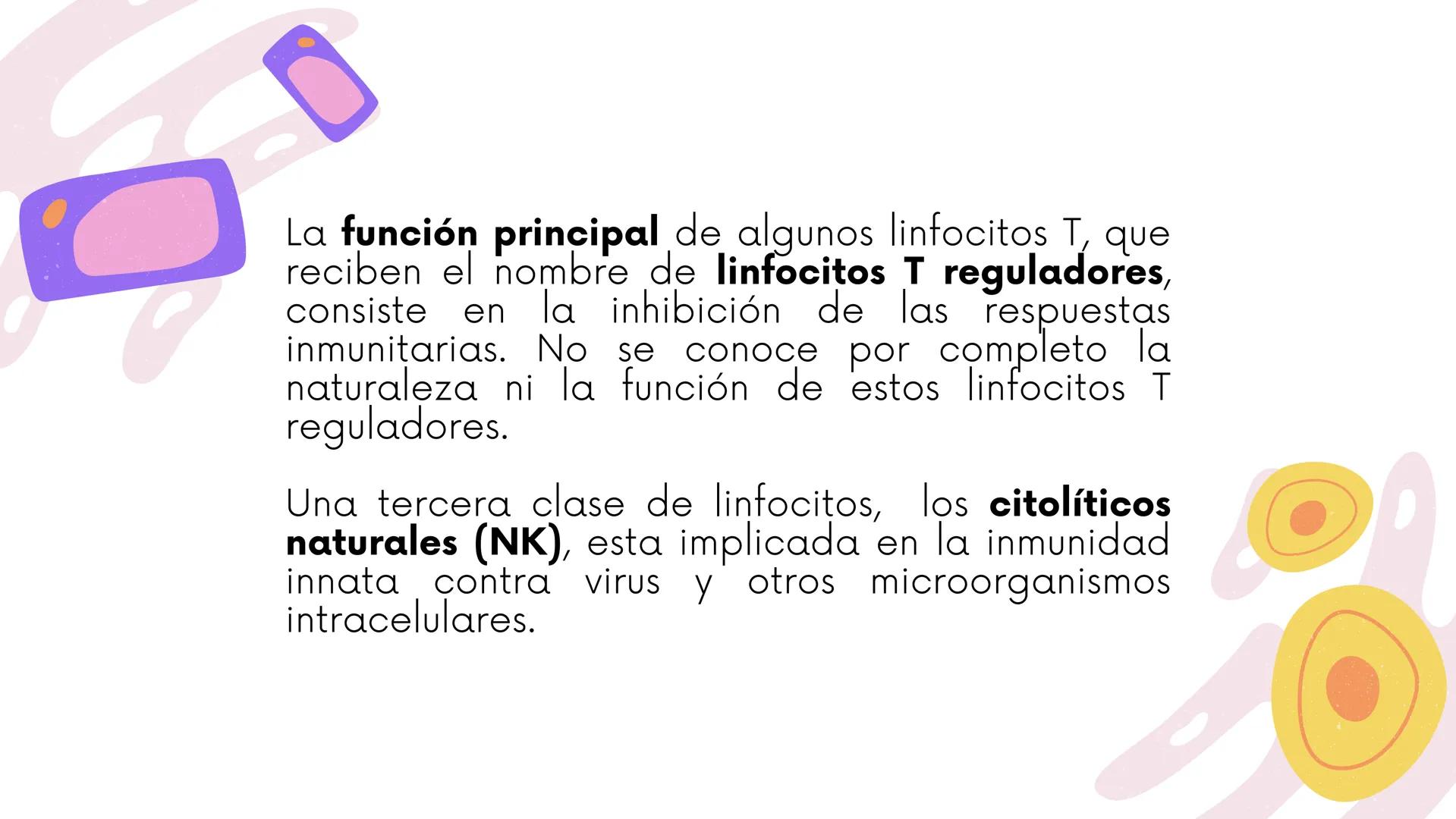 # MICROBIOLOGIA E INMUNOLOGIA
**COMPONENTES
CELULARES DEL SISTEMA
INMUNITARIO ADAPTATIVO** Las células principales
del sistema inmunitario