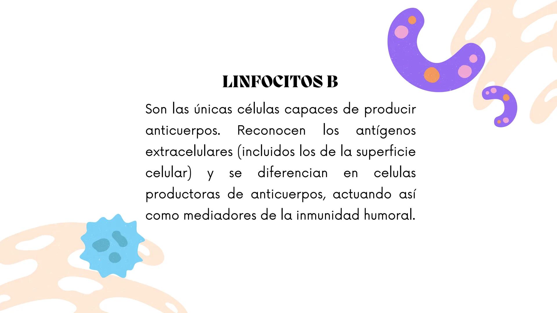 # MICROBIOLOGIA E INMUNOLOGIA
**COMPONENTES
CELULARES DEL SISTEMA
INMUNITARIO ADAPTATIVO** Las células principales
del sistema inmunitario
