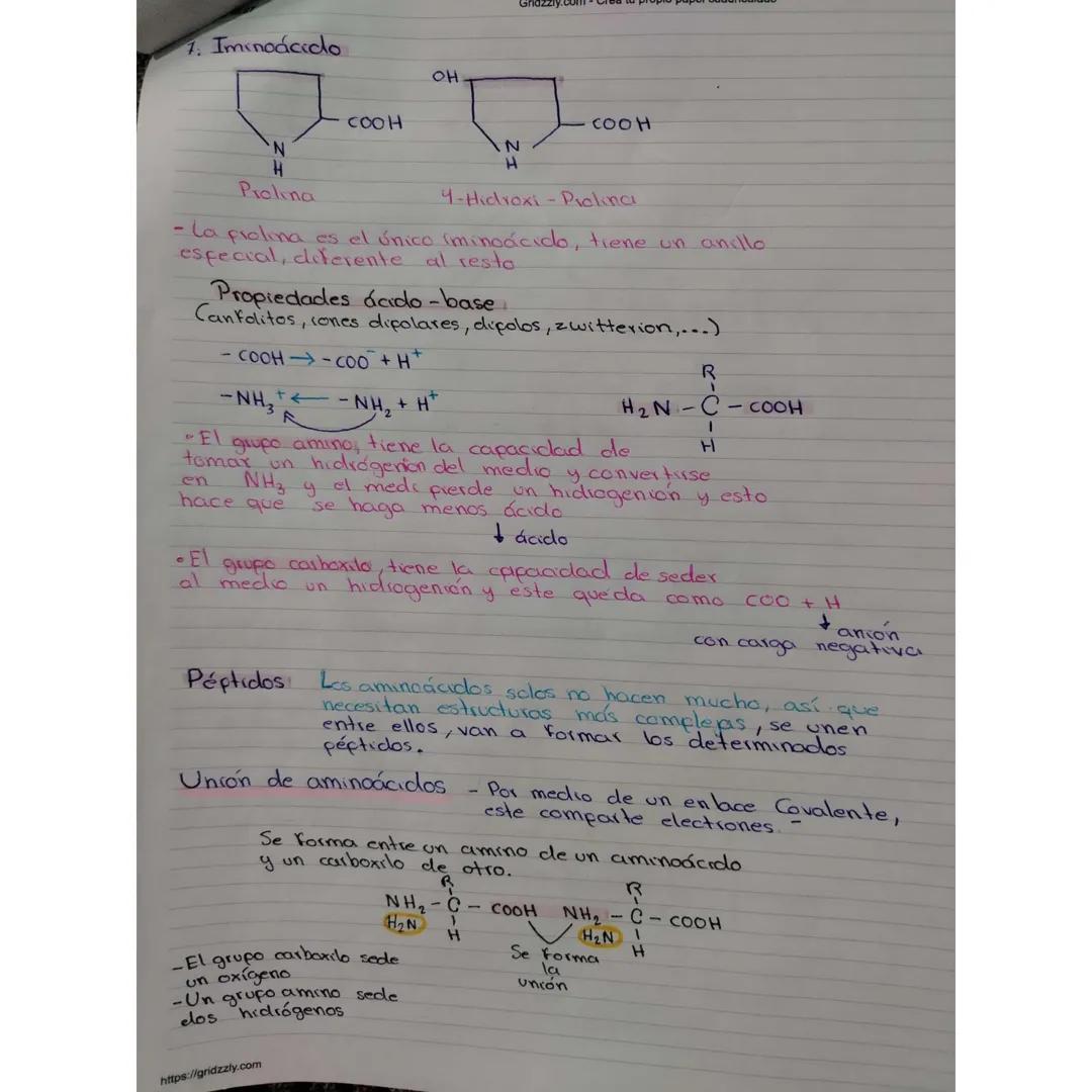 Gridzzly.com - Crea tu propio papel cuadriculado
¿Qué son los Aminoácidos?
- Son moléculas orgánicas que forman las proteínas, los
componen