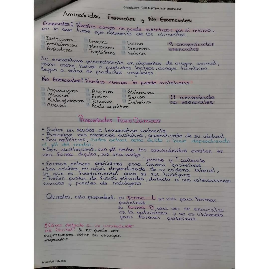 Gridzzly.com - Crea tu propio papel cuadriculado
¿Qué son los Aminoácidos?
- Son moléculas orgánicas que forman las proteínas, los
componen
