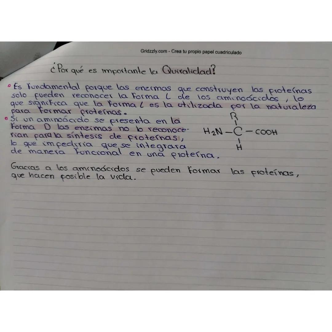 Gridzzly.com - Crea tu propio papel cuadriculado
¿Qué son los Aminoácidos?
- Son moléculas orgánicas que forman las proteínas, los
componen