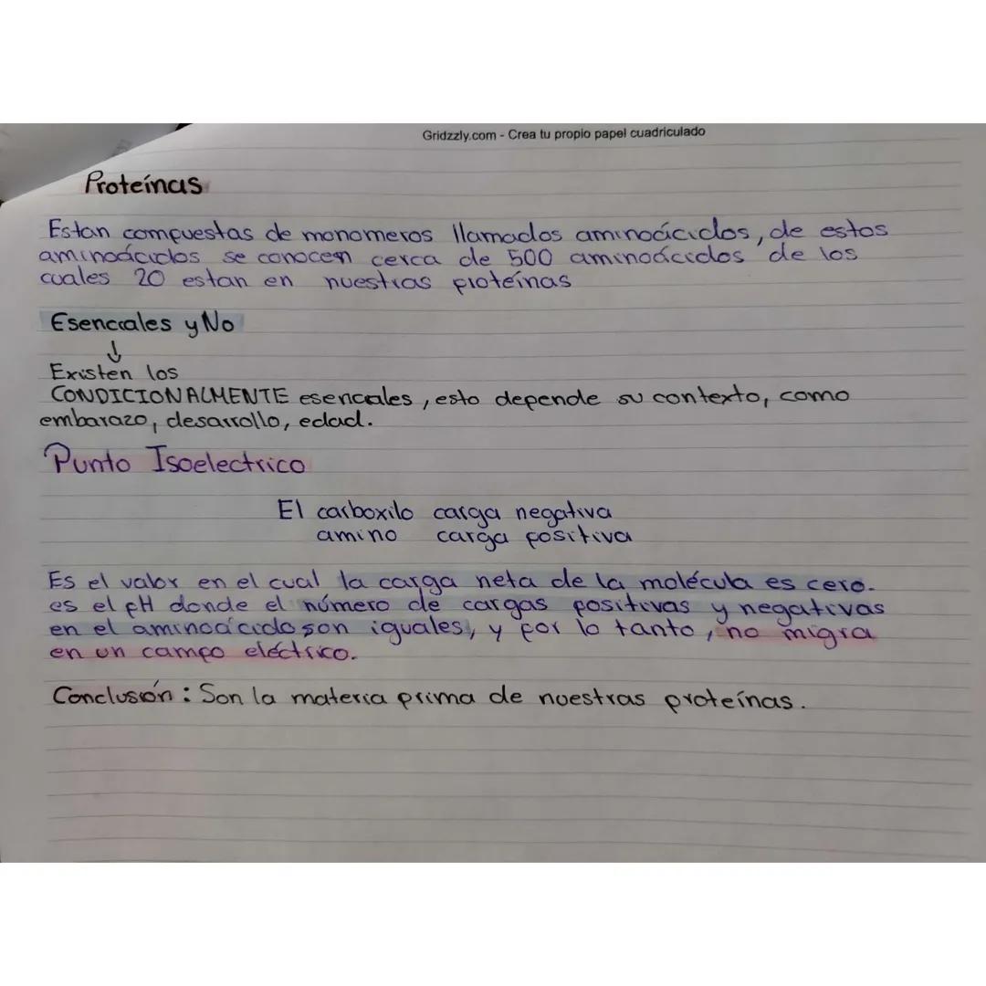Gridzzly.com - Crea tu propio papel cuadriculado
¿Qué son los Aminoácidos?
- Son moléculas orgánicas que forman las proteínas, los
componen