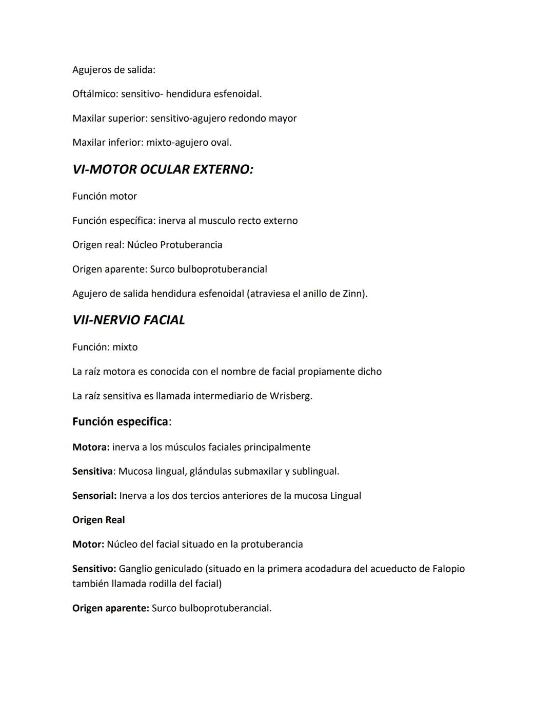 DEPARTAMENTO DE ΑΝΑΤΟΜΙA HUMANA F.O. U.A.N.L.
SISTEMA NERVIOSO CENTRAL.
Es el conjunto de elemento anatómicos encargados de regir el funci