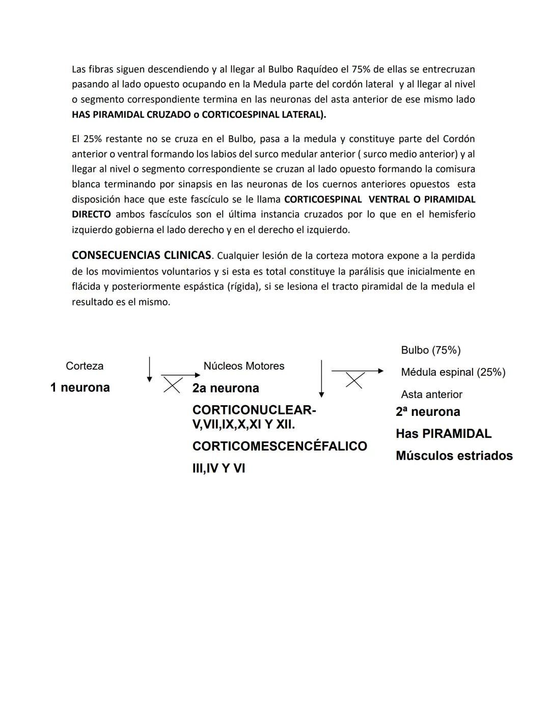 DEPARTAMENTO DE ΑΝΑΤΟΜΙA HUMANA F.O. U.A.N.L.
SISTEMA NERVIOSO CENTRAL.
Es el conjunto de elemento anatómicos encargados de regir el funci