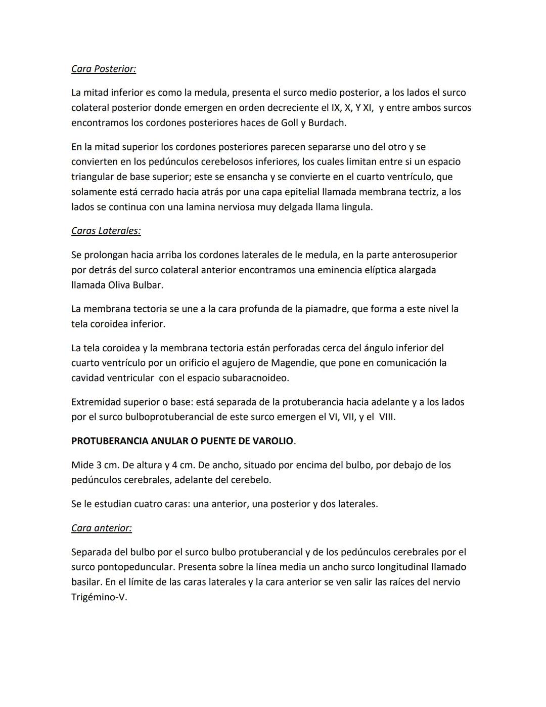 DEPARTAMENTO DE ΑΝΑΤΟΜΙA HUMANA F.O. U.A.N.L.
SISTEMA NERVIOSO CENTRAL.
Es el conjunto de elemento anatómicos encargados de regir el funci