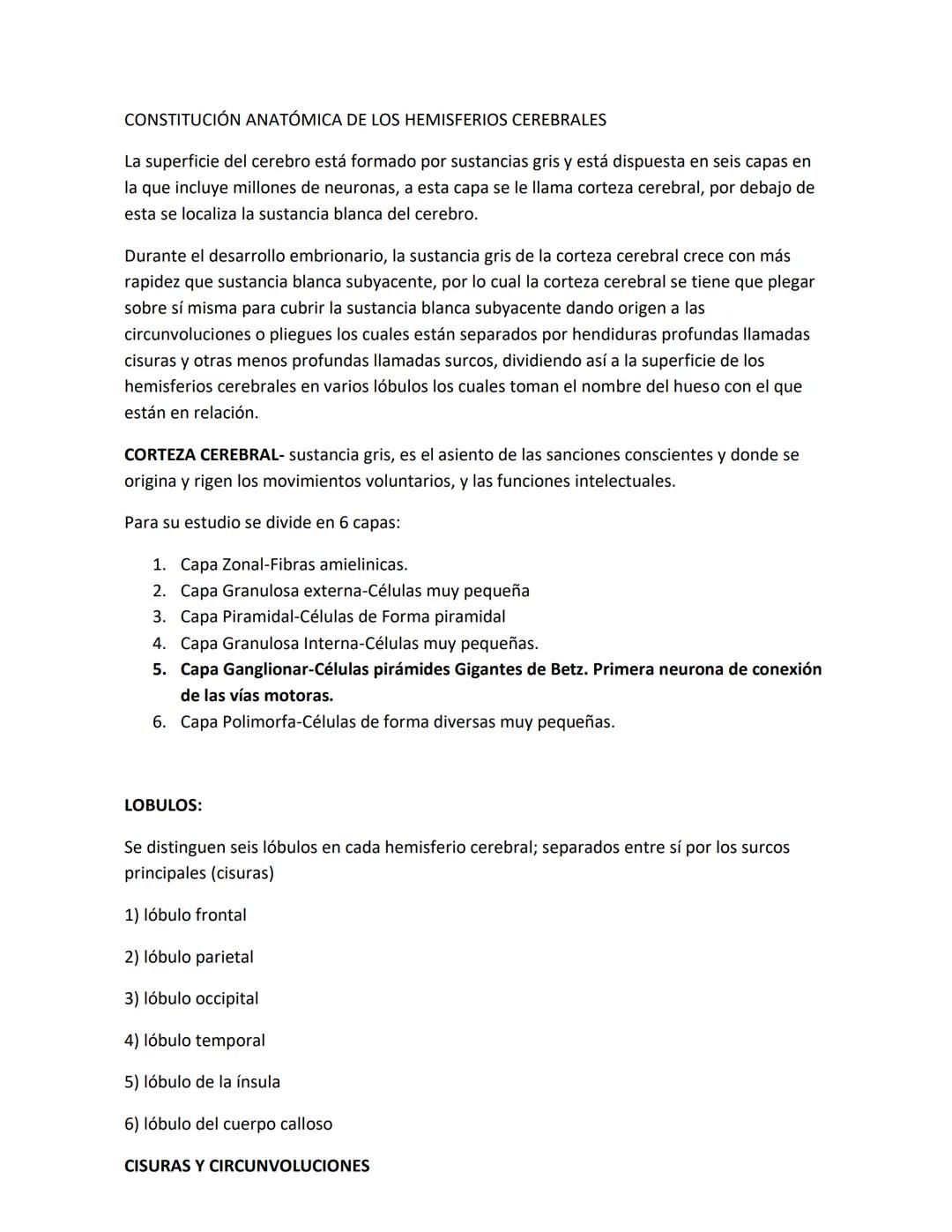 DEPARTAMENTO DE ΑΝΑΤΟΜΙA HUMANA F.O. U.A.N.L.
SISTEMA NERVIOSO CENTRAL.
Es el conjunto de elemento anatómicos encargados de regir el funci