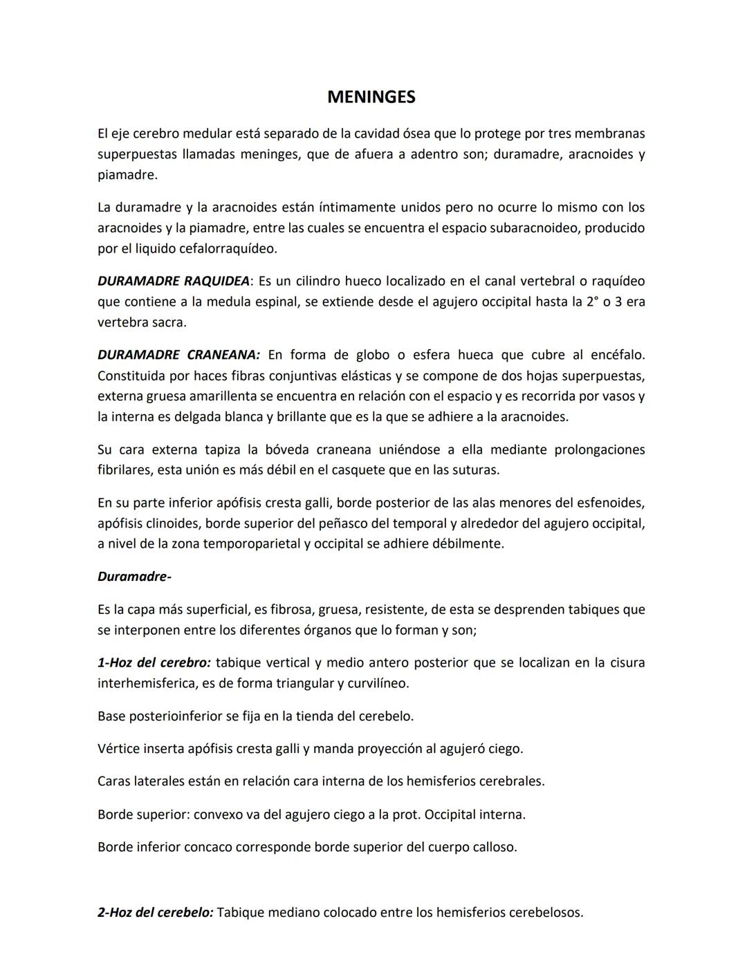 DEPARTAMENTO DE ΑΝΑΤΟΜΙA HUMANA F.O. U.A.N.L.
SISTEMA NERVIOSO CENTRAL.
Es el conjunto de elemento anatómicos encargados de regir el funci
