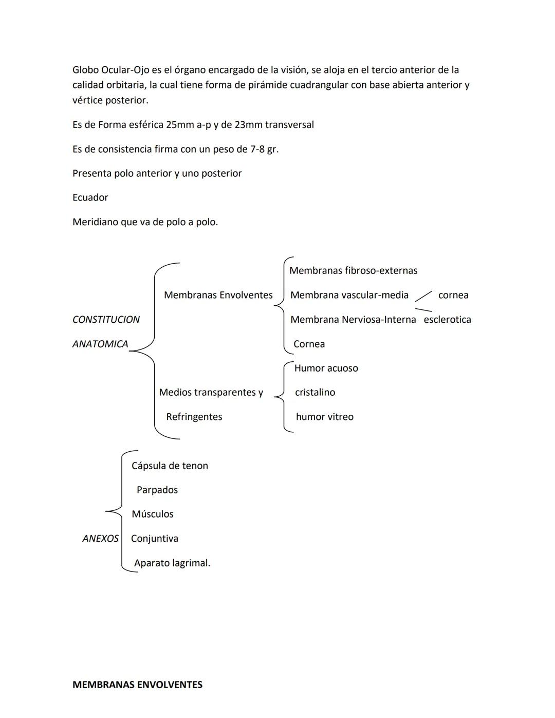 DEPARTAMENTO DE ΑΝΑΤΟΜΙA HUMANA F.O. U.A.N.L.
SISTEMA NERVIOSO CENTRAL.
Es el conjunto de elemento anatómicos encargados de regir el funci