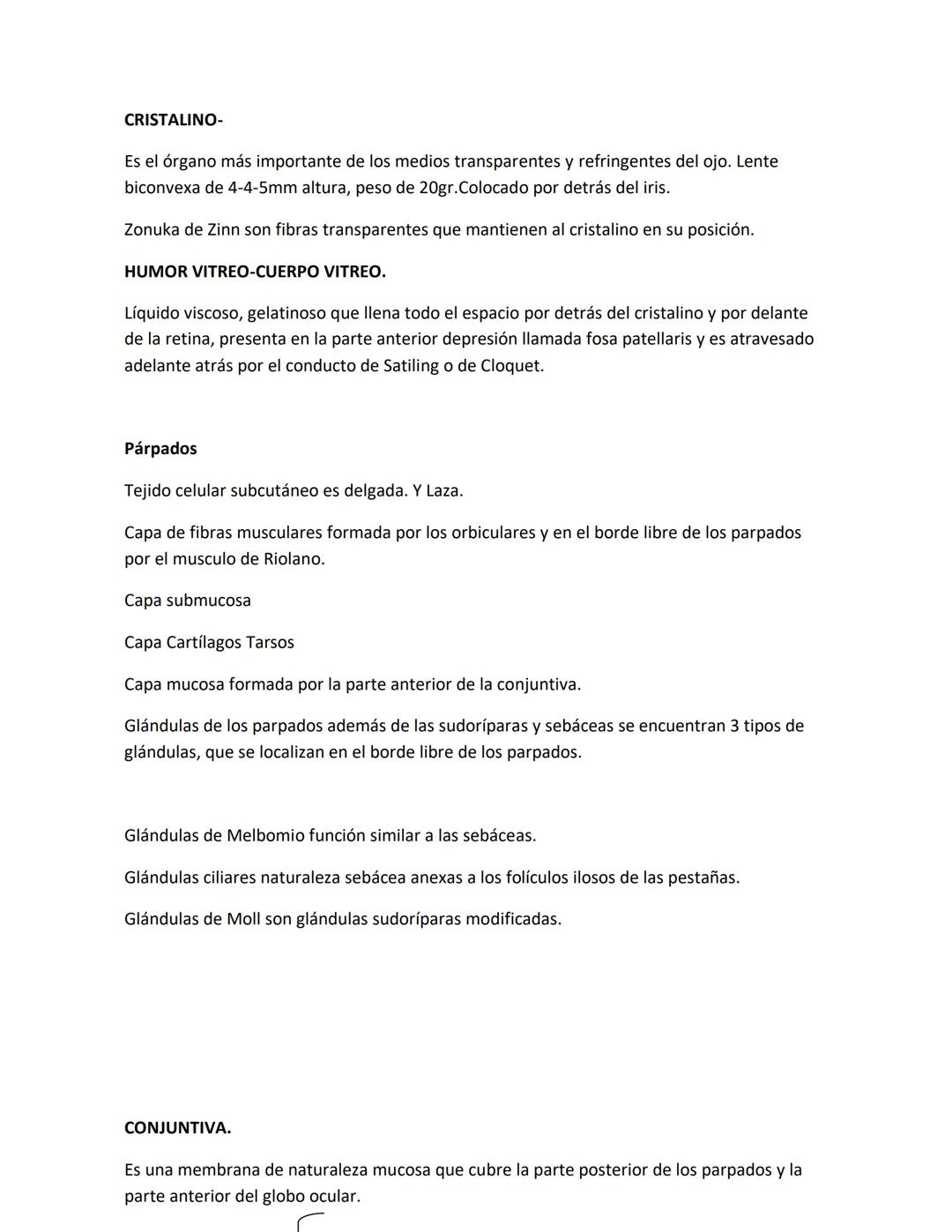 DEPARTAMENTO DE ΑΝΑΤΟΜΙA HUMANA F.O. U.A.N.L.
SISTEMA NERVIOSO CENTRAL.
Es el conjunto de elemento anatómicos encargados de regir el funci