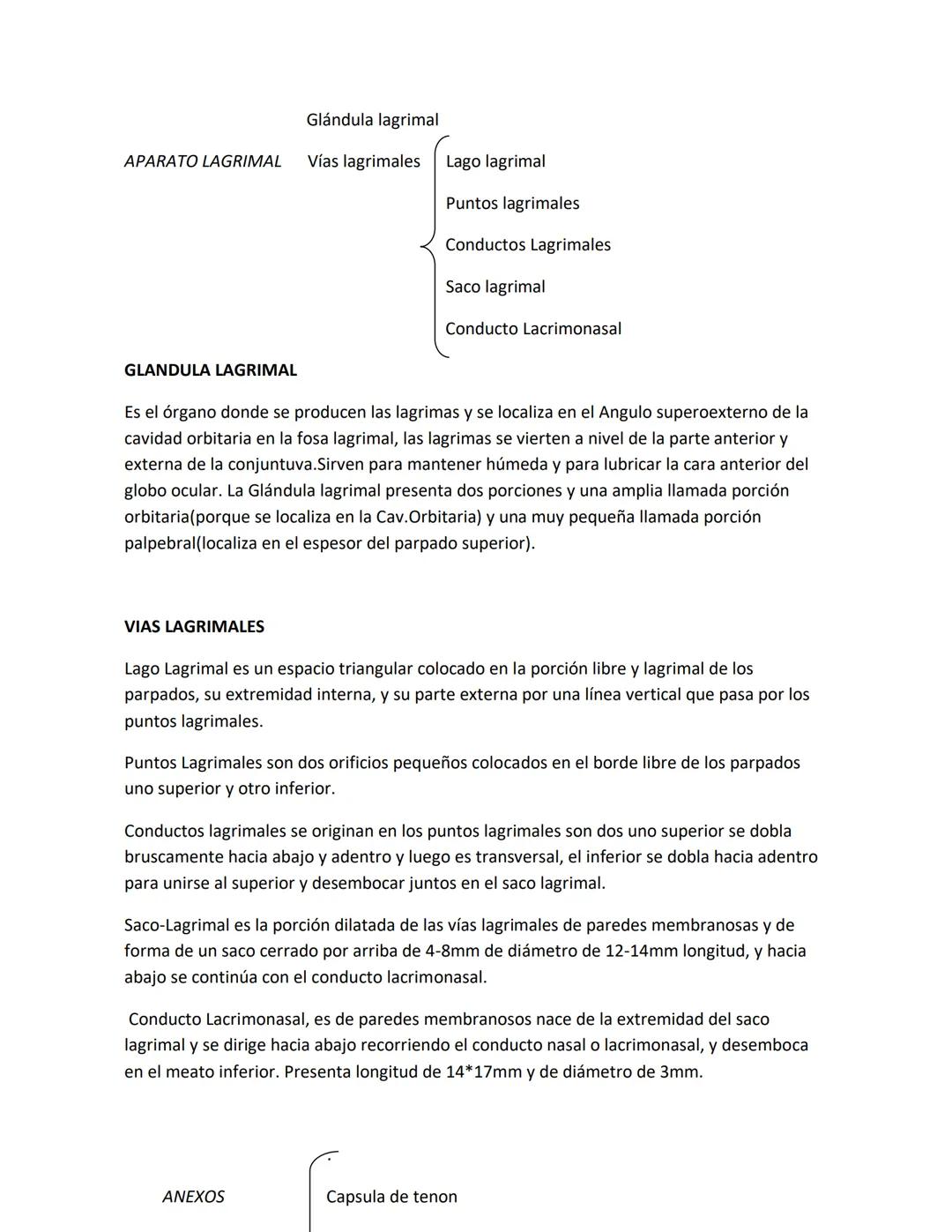 DEPARTAMENTO DE ΑΝΑΤΟΜΙA HUMANA F.O. U.A.N.L.
SISTEMA NERVIOSO CENTRAL.
Es el conjunto de elemento anatómicos encargados de regir el funci