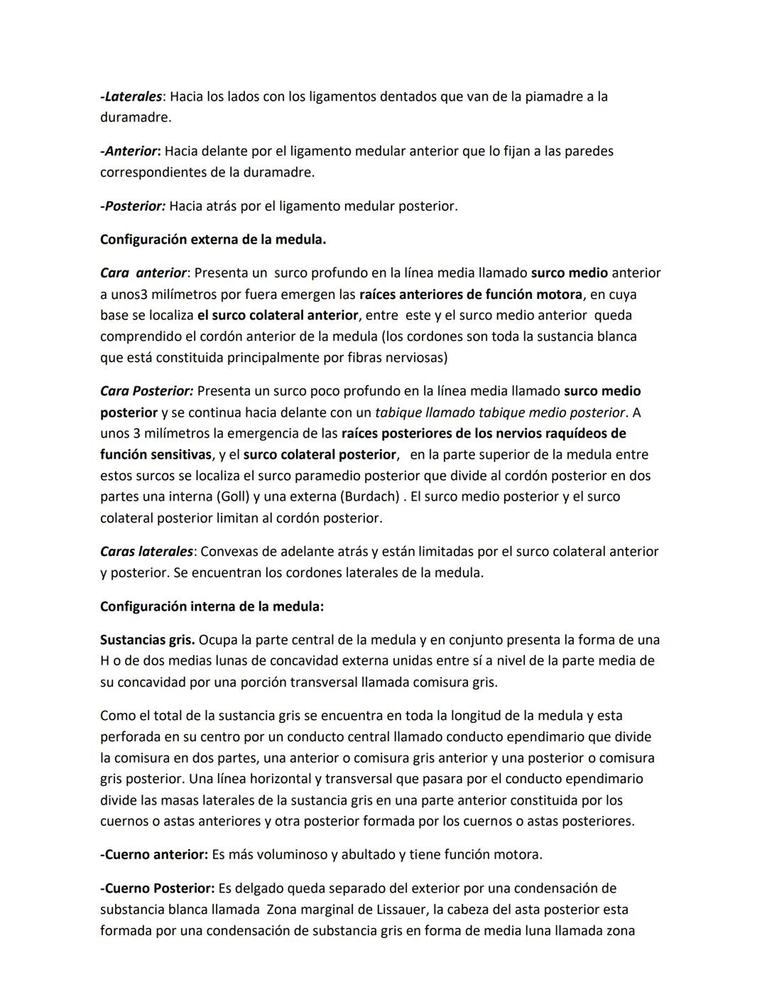DEPARTAMENTO DE ΑΝΑΤΟΜΙA HUMANA F.O. U.A.N.L.
SISTEMA NERVIOSO CENTRAL.
Es el conjunto de elemento anatómicos encargados de regir el funci