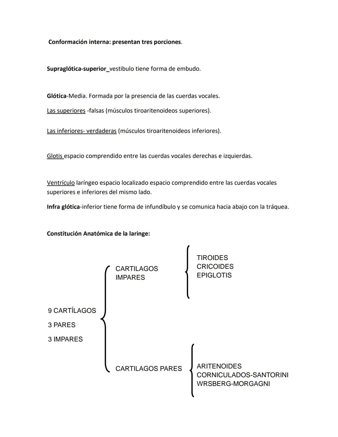 DEPARTAMENTO DE ΑΝΑΤΟΜΙA HUMANA F.O. U.A.N.L.
SISTEMA NERVIOSO CENTRAL.
Es el conjunto de elemento anatómicos encargados de regir el funci