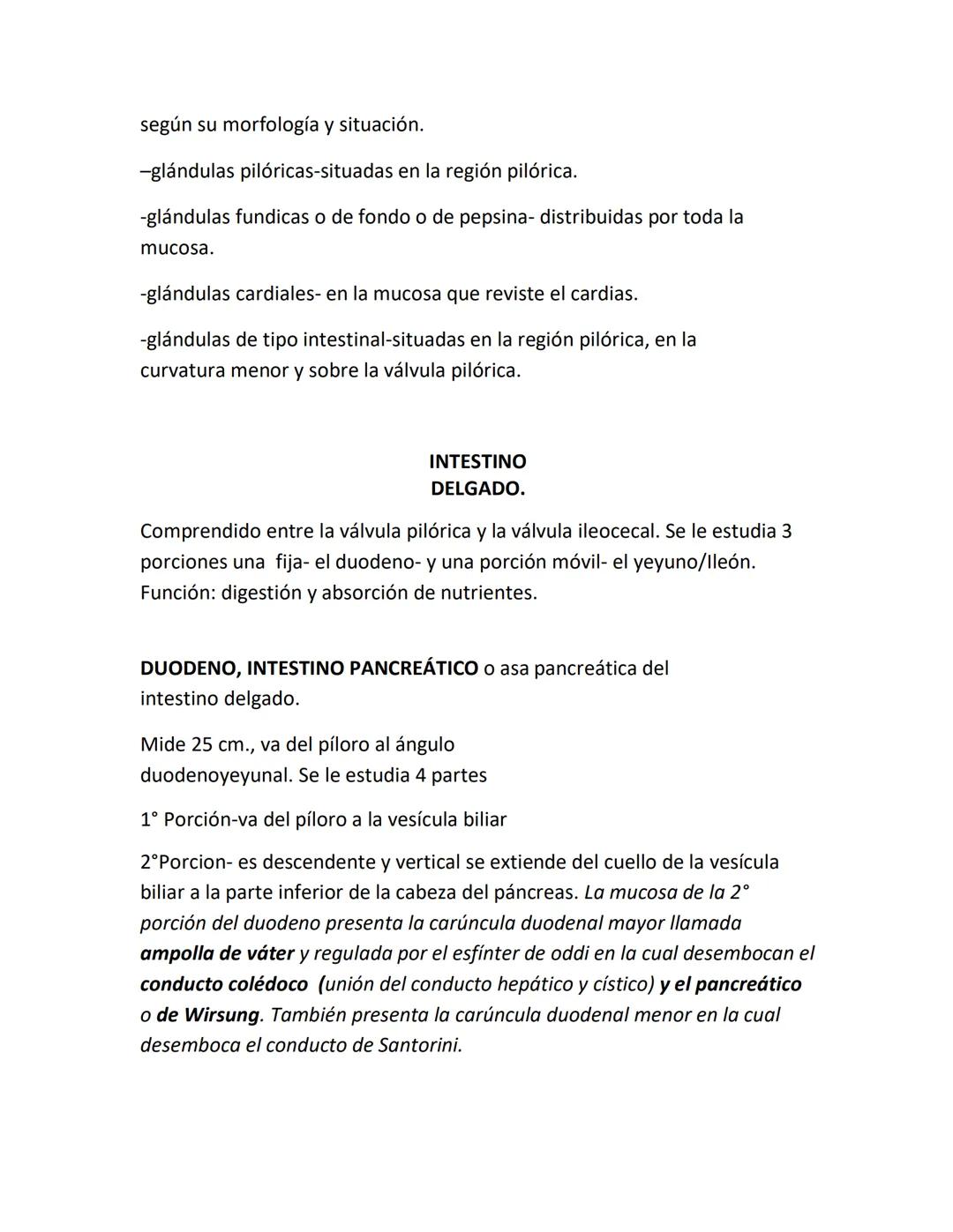 DEPARTAMENTO DE ΑΝΑΤΟΜΙA HUMANA F.O. U.A.N.L.
SISTEMA NERVIOSO CENTRAL.
Es el conjunto de elemento anatómicos encargados de regir el funci