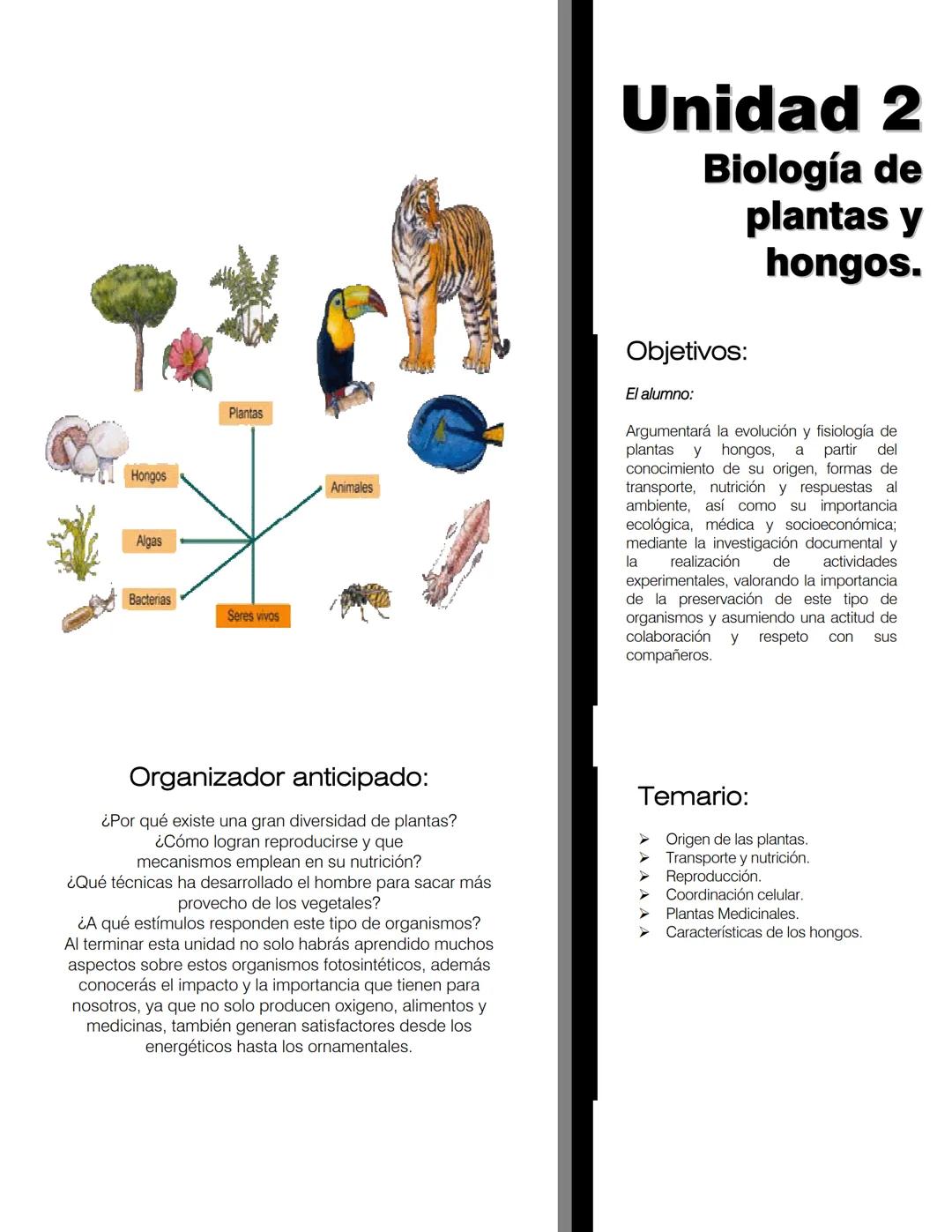 Hongos
Algas
Plantas
Bacterias
Seres vivos
Animales
Unidad 2
Biología de
plantas y
hongos.
Objetivos:
El alumno:
Argumentará la evolu