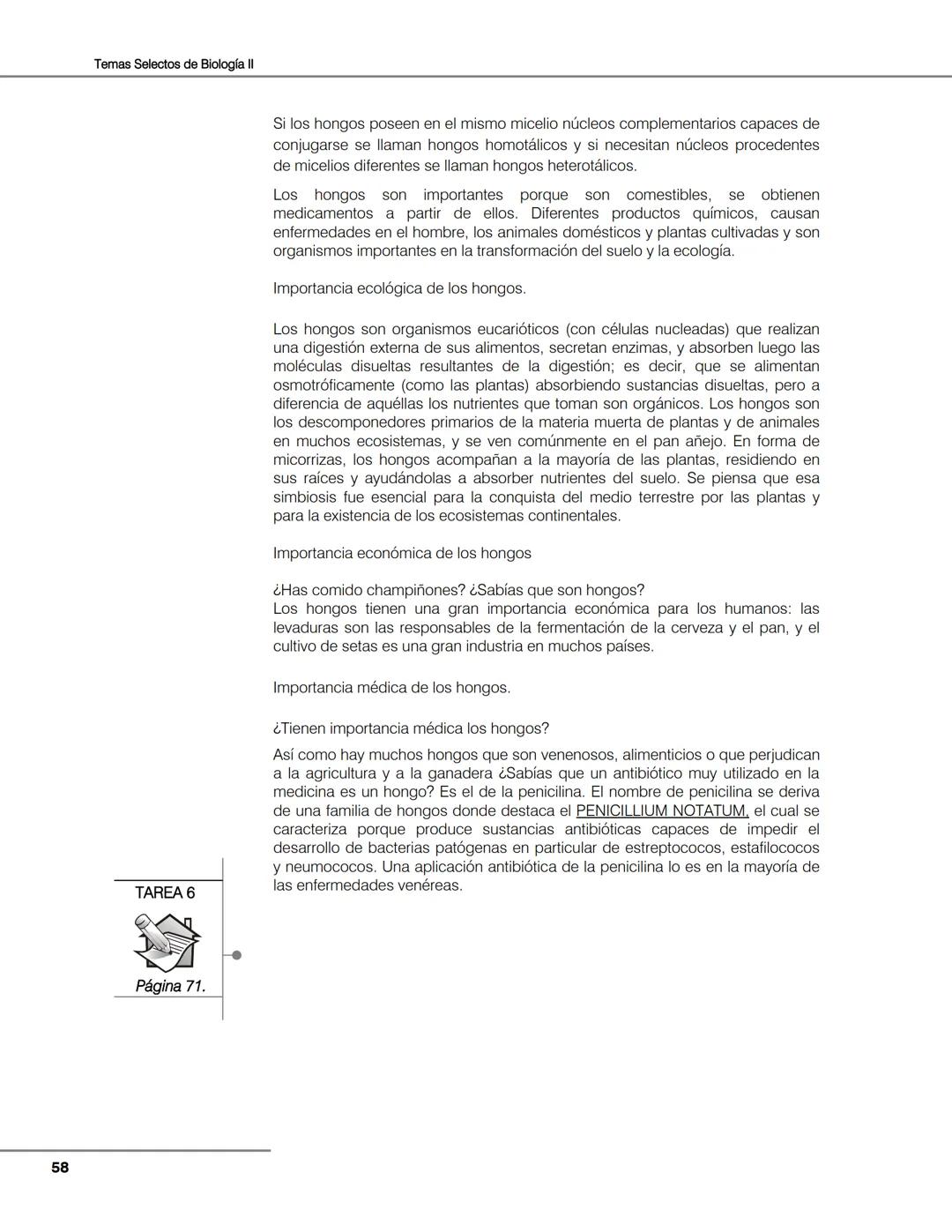 Hongos
Algas
Plantas
Bacterias
Seres vivos
Animales
Unidad 2
Biología de
plantas y
hongos.
Objetivos:
El alumno:
Argumentará la evolu